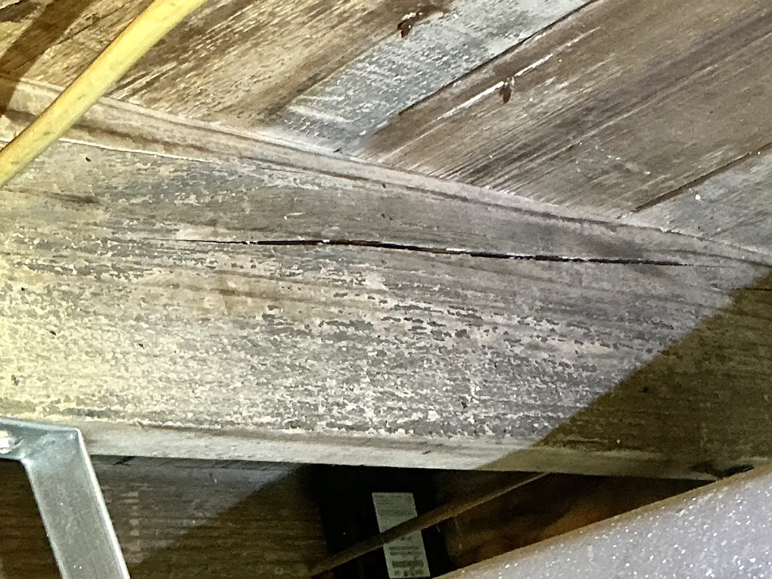 Look at what our mold inspector found in Mayfield..