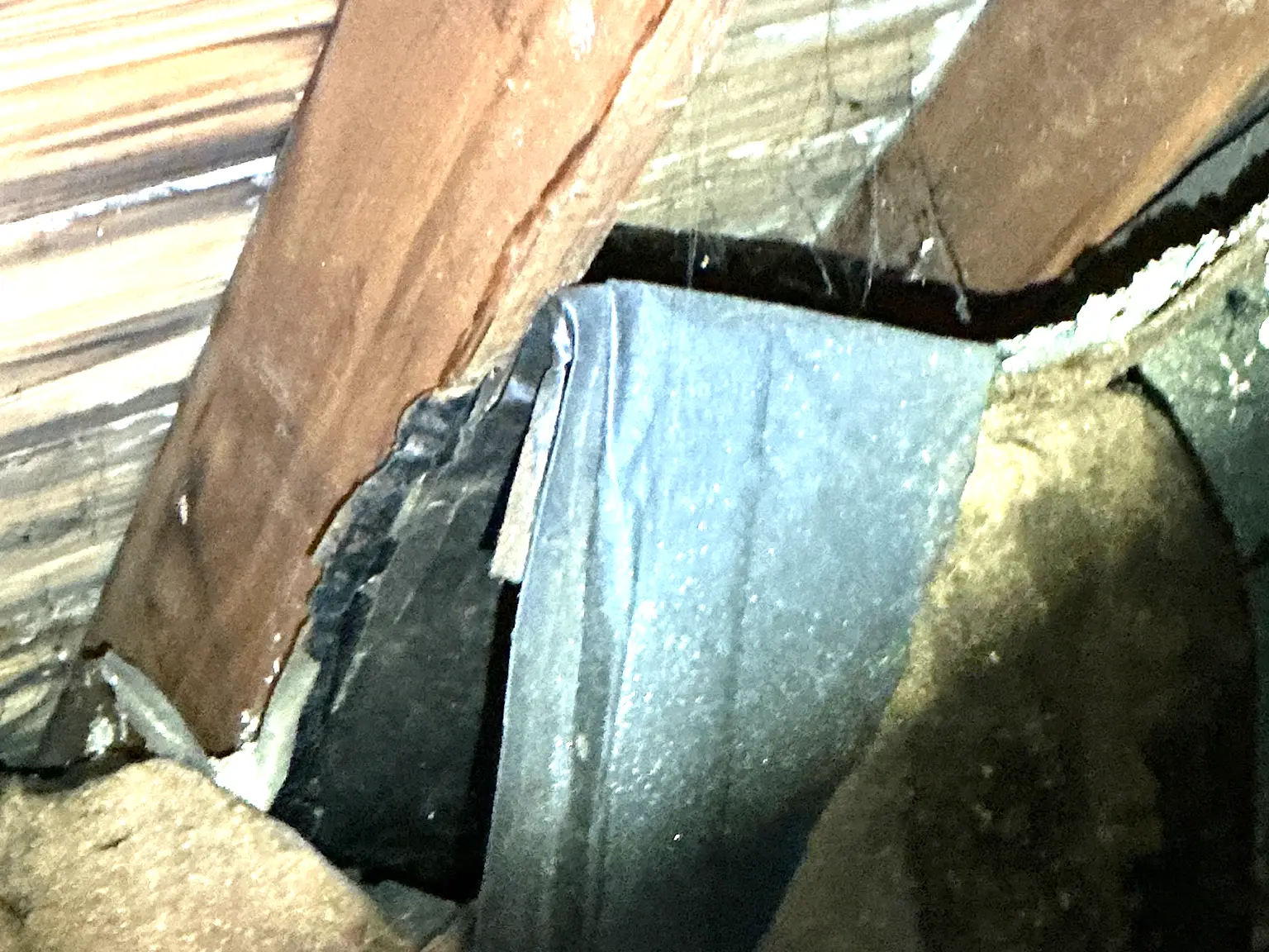 Mold found on a surface during an inspection in Mayfield.