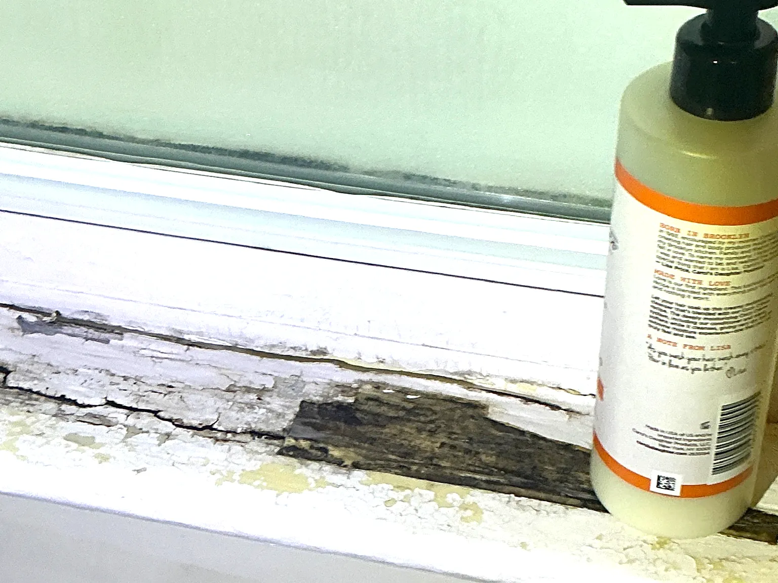 Mold found on a surface during an inspection in Mcdonald.