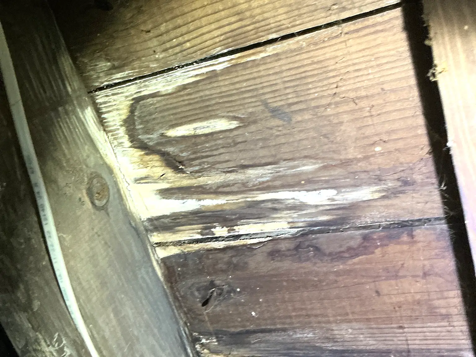 Mold found during a commercial mold inspection in Mcdonald.