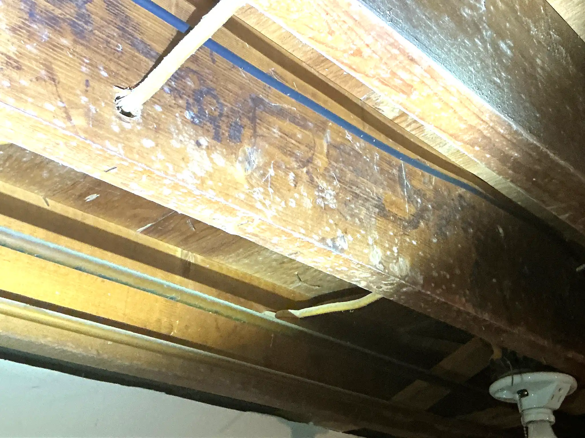 Mold found on a surface during an inspection in Medina.