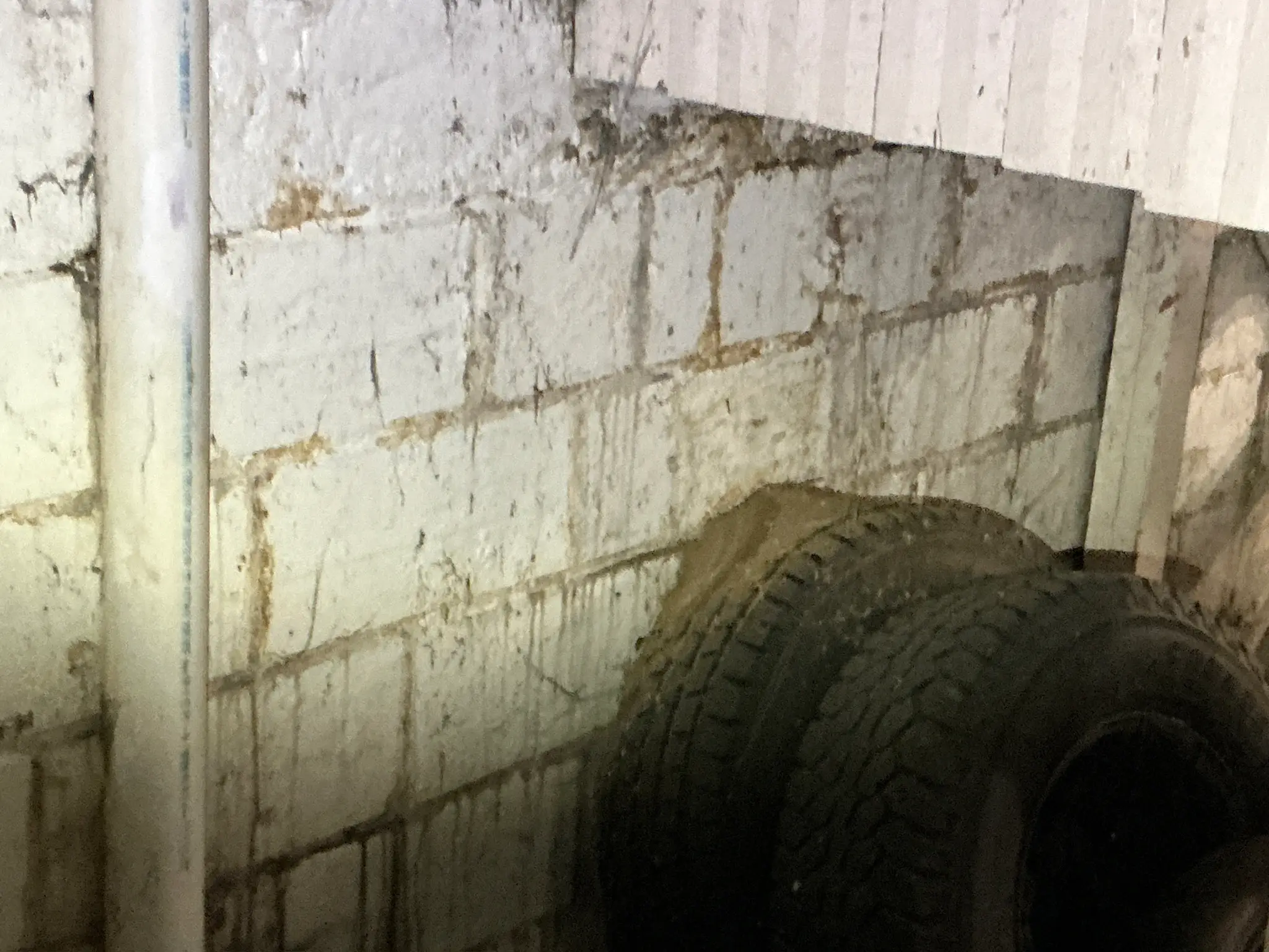 Mold inspection in Medina.