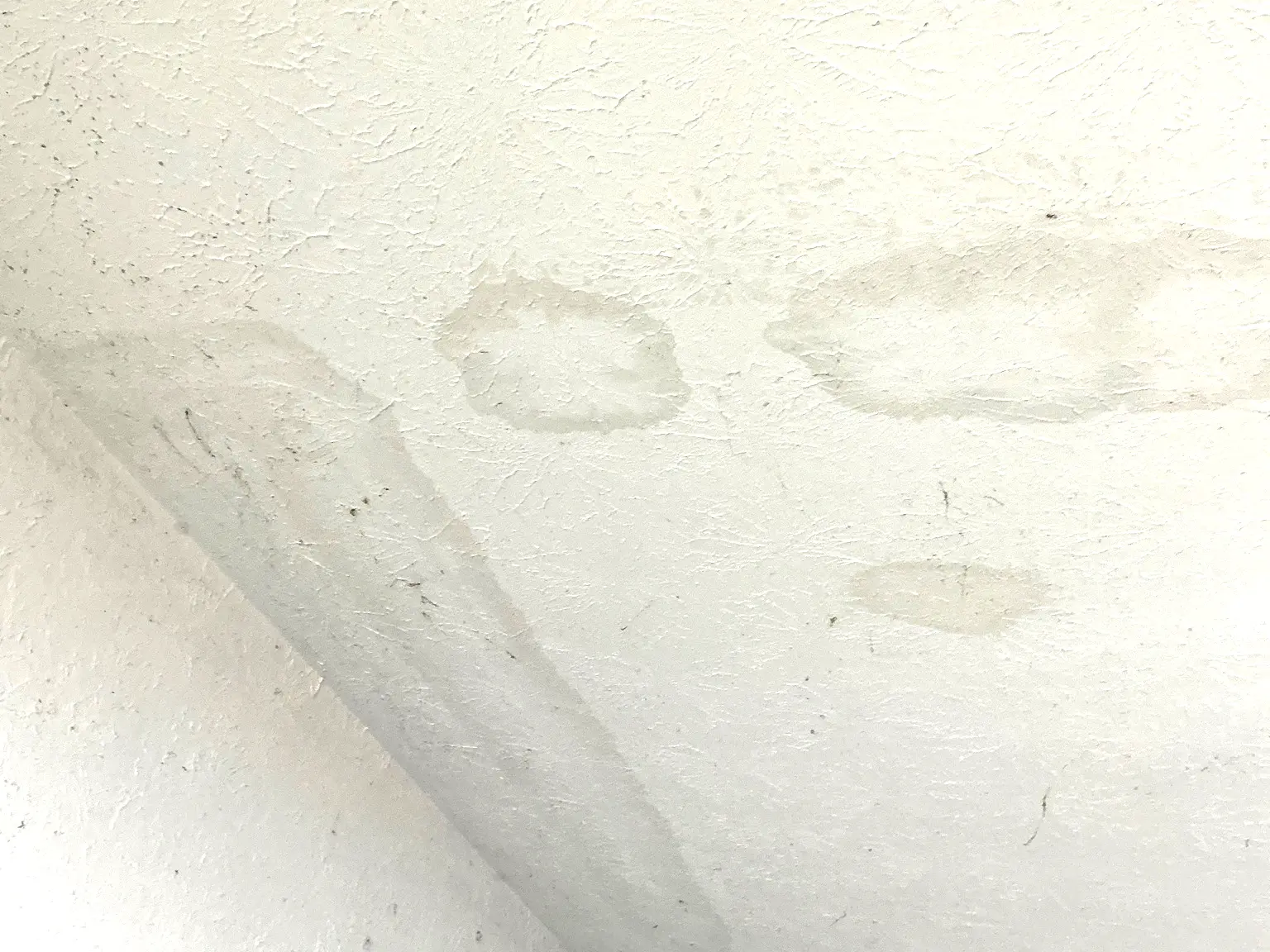Our mold inspector found this surface mold in Medina.