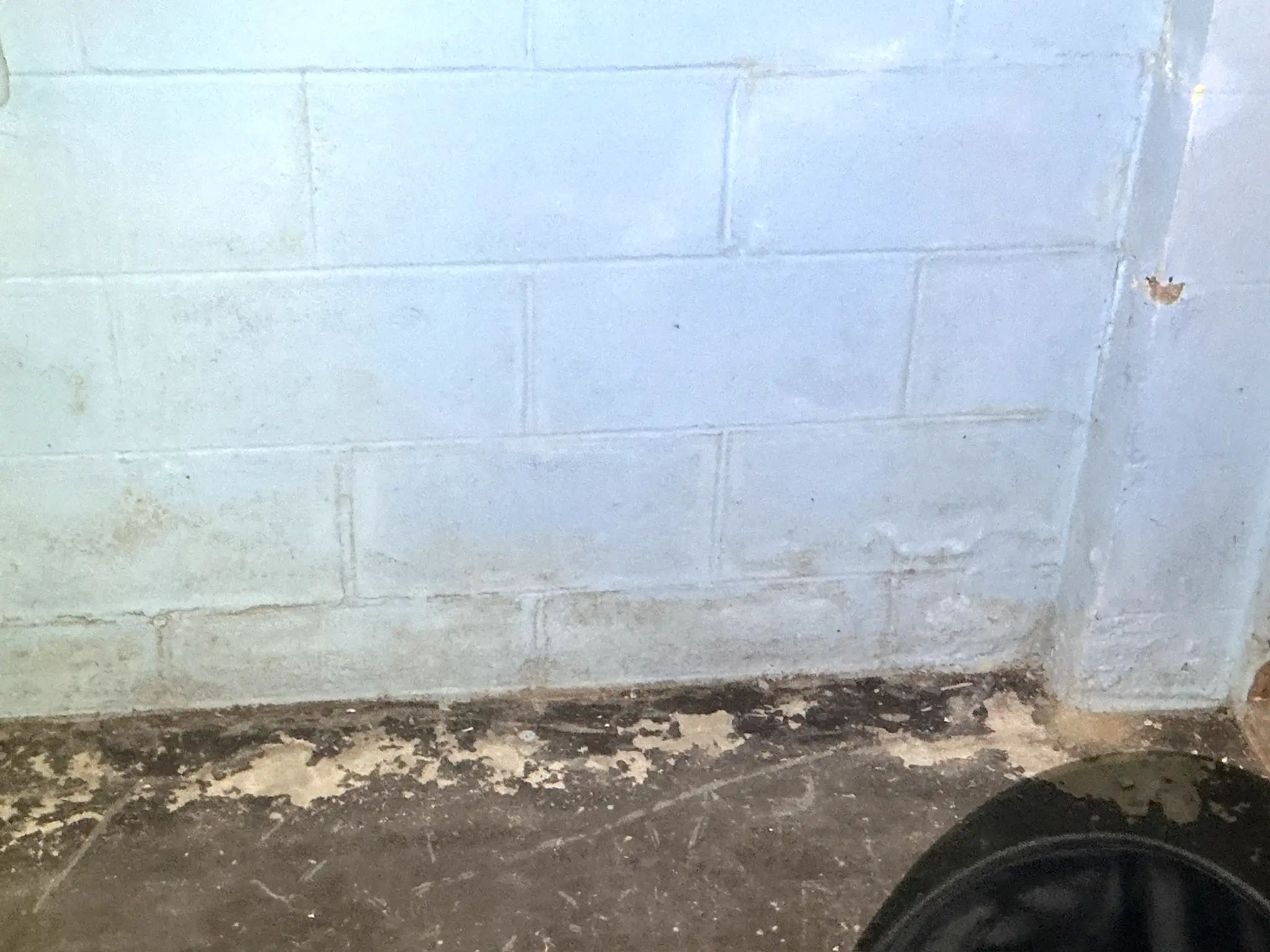 Mold found during a home inspection in Medina.