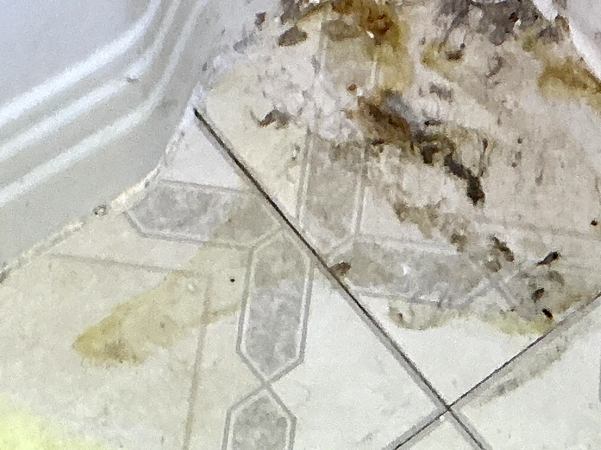 Mold found during a commercial mold inspection in Medina.