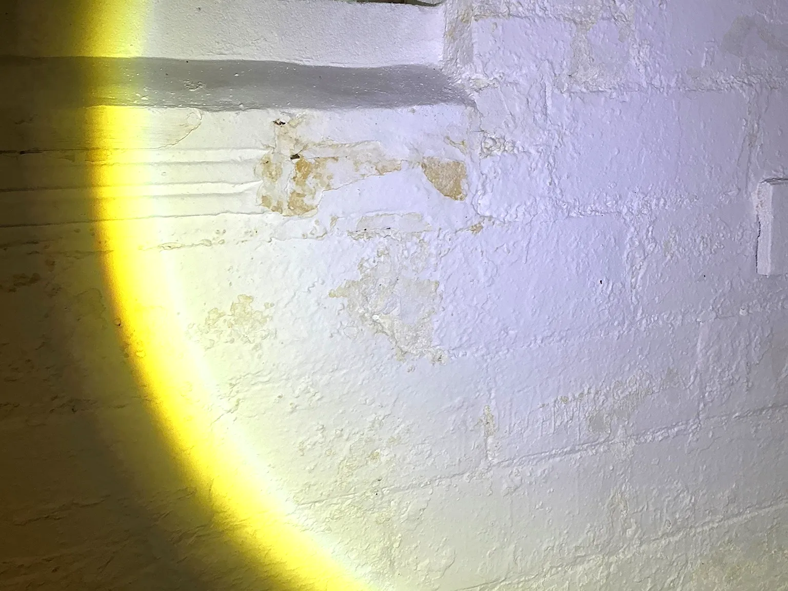 Mold found on a surface during an inspection in Mentor On The Lake.