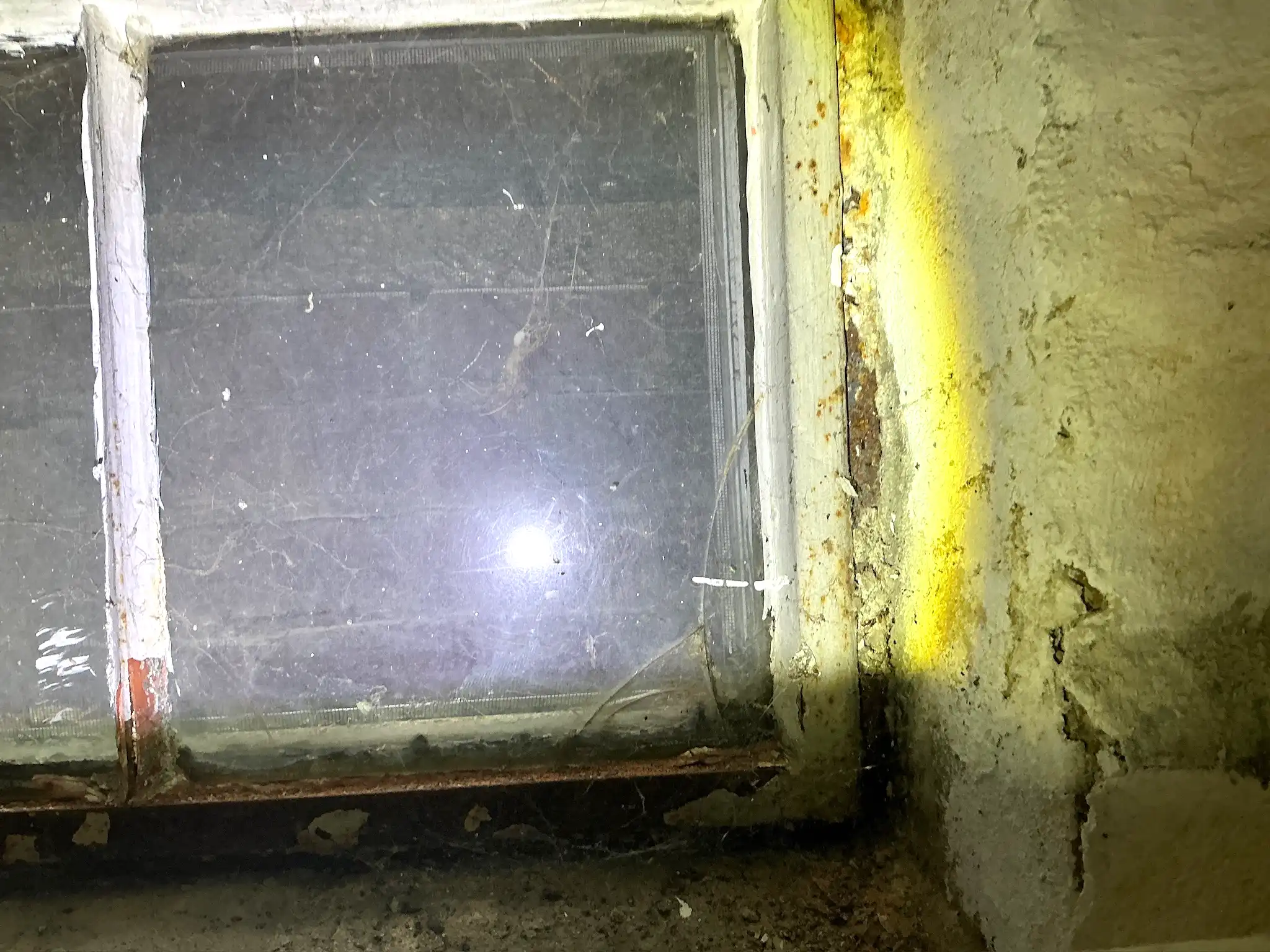 Our mold inspector found this surface mold in Mentor On The Lake.