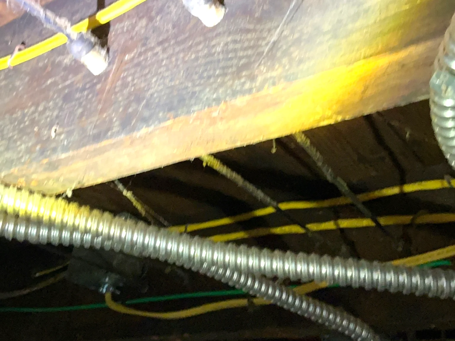 Mold found during a home inspection in Mentor.