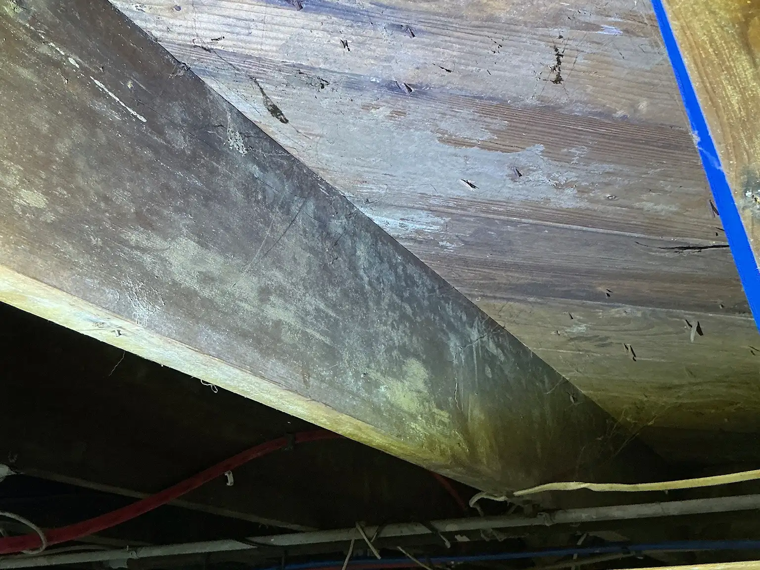 Mold found during a commercial mold inspection in Mentor.