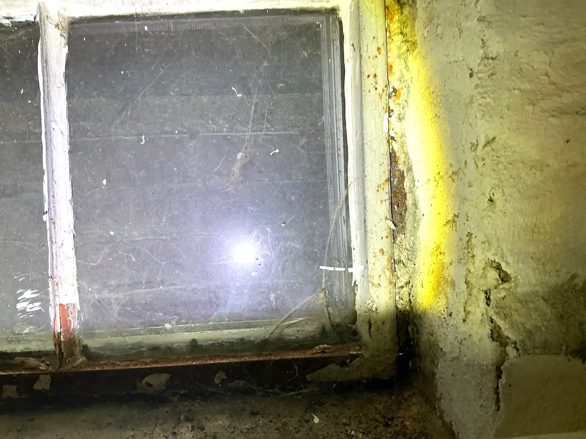 Mold found on a surface during an inspection in Mesopotamia.
