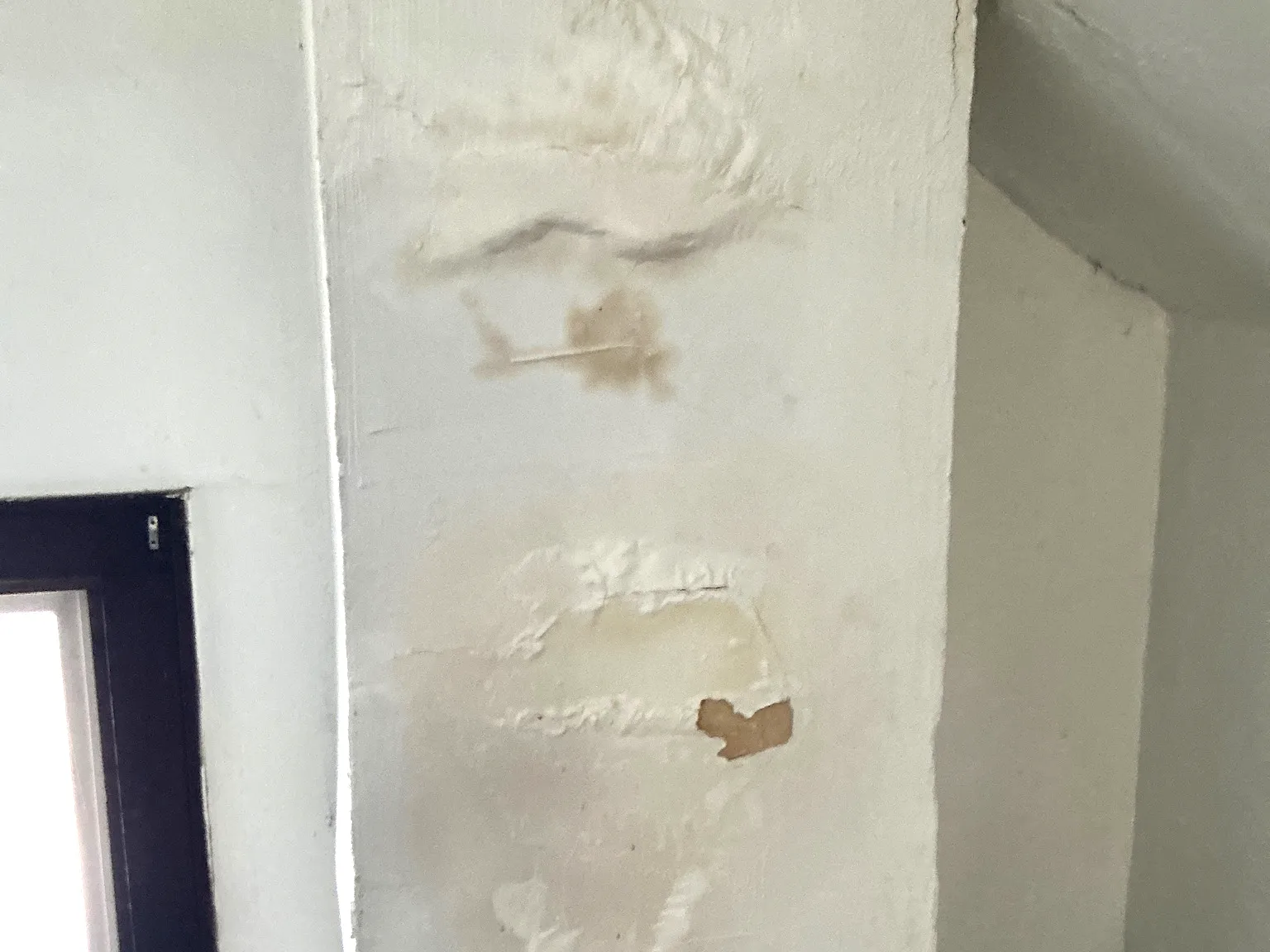 Mold found during a home inspection in Mesopotamia.