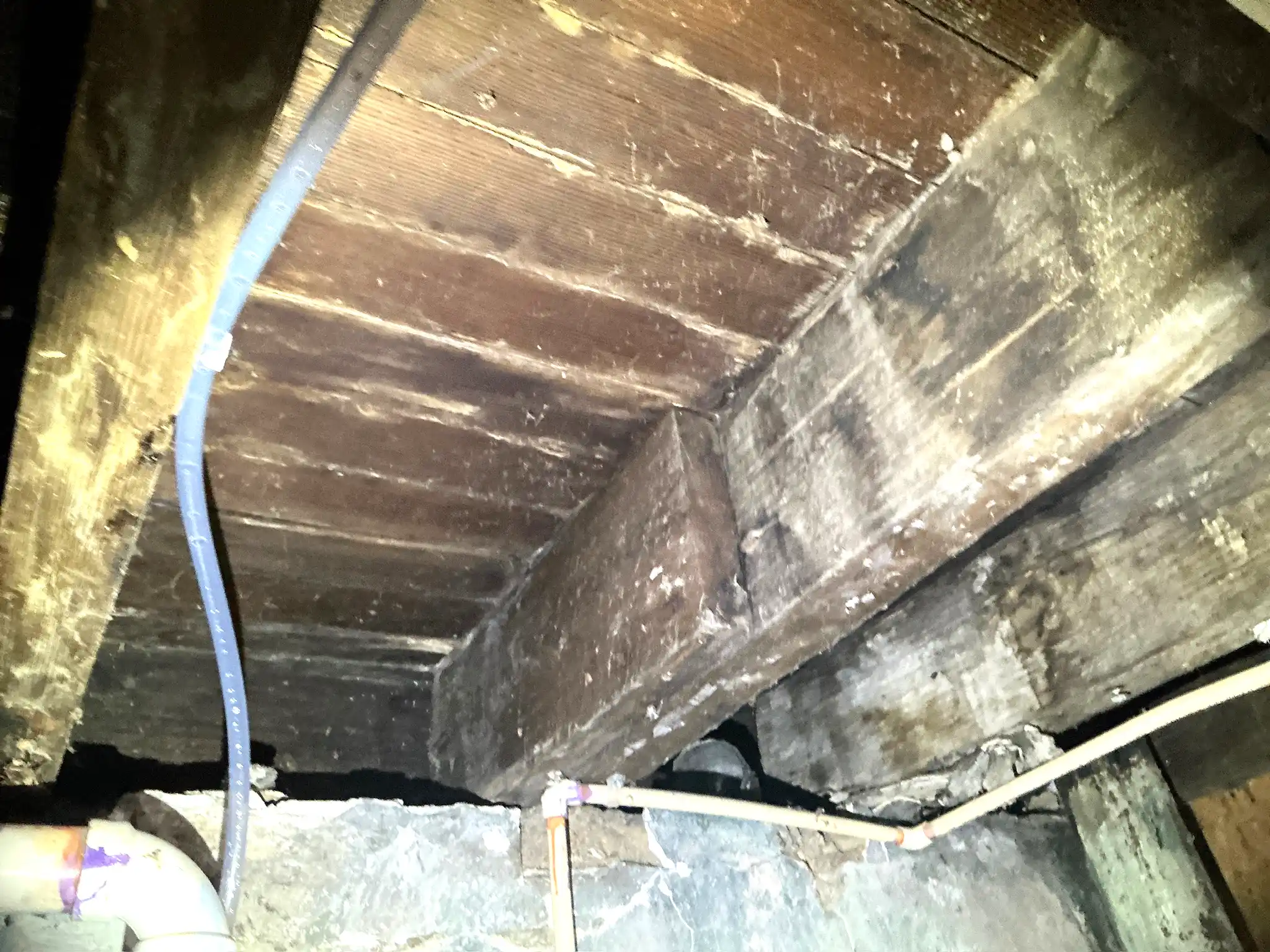Mold inspection in Middleburg Heights.