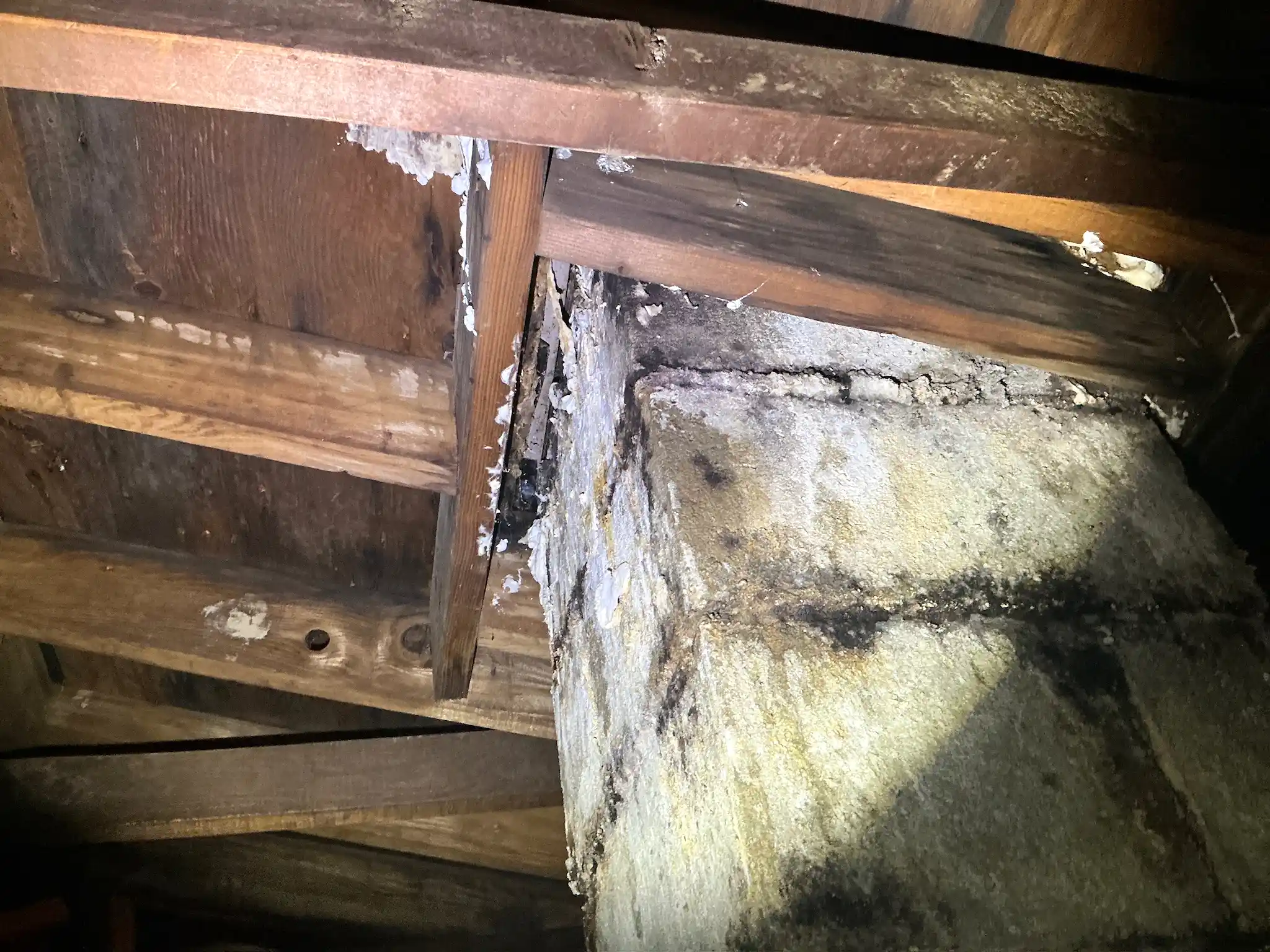 Mold found during a home inspection in Middleburg Heights.