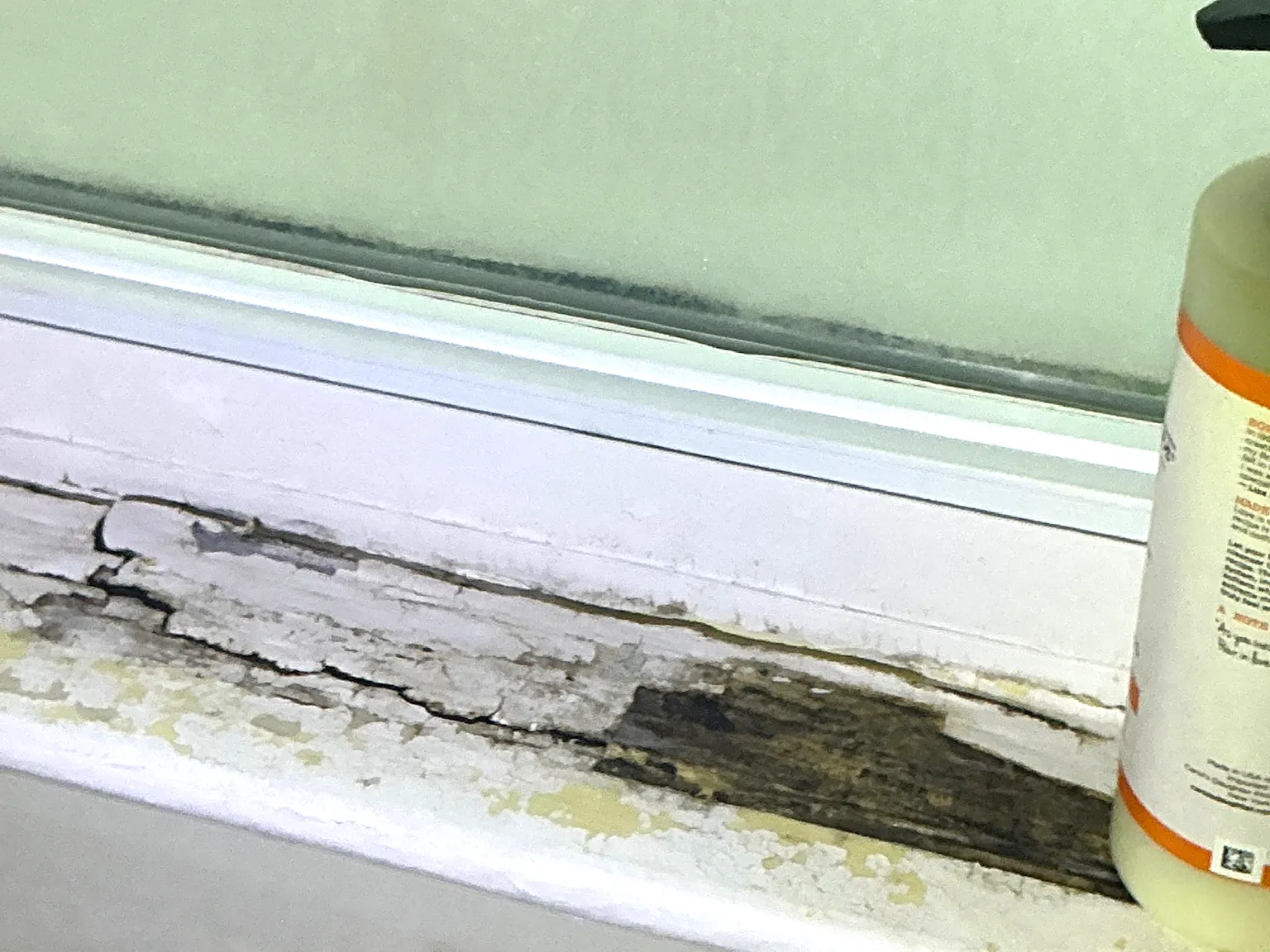 Mold found during a commercial mold inspection in Middleburg Heights.
