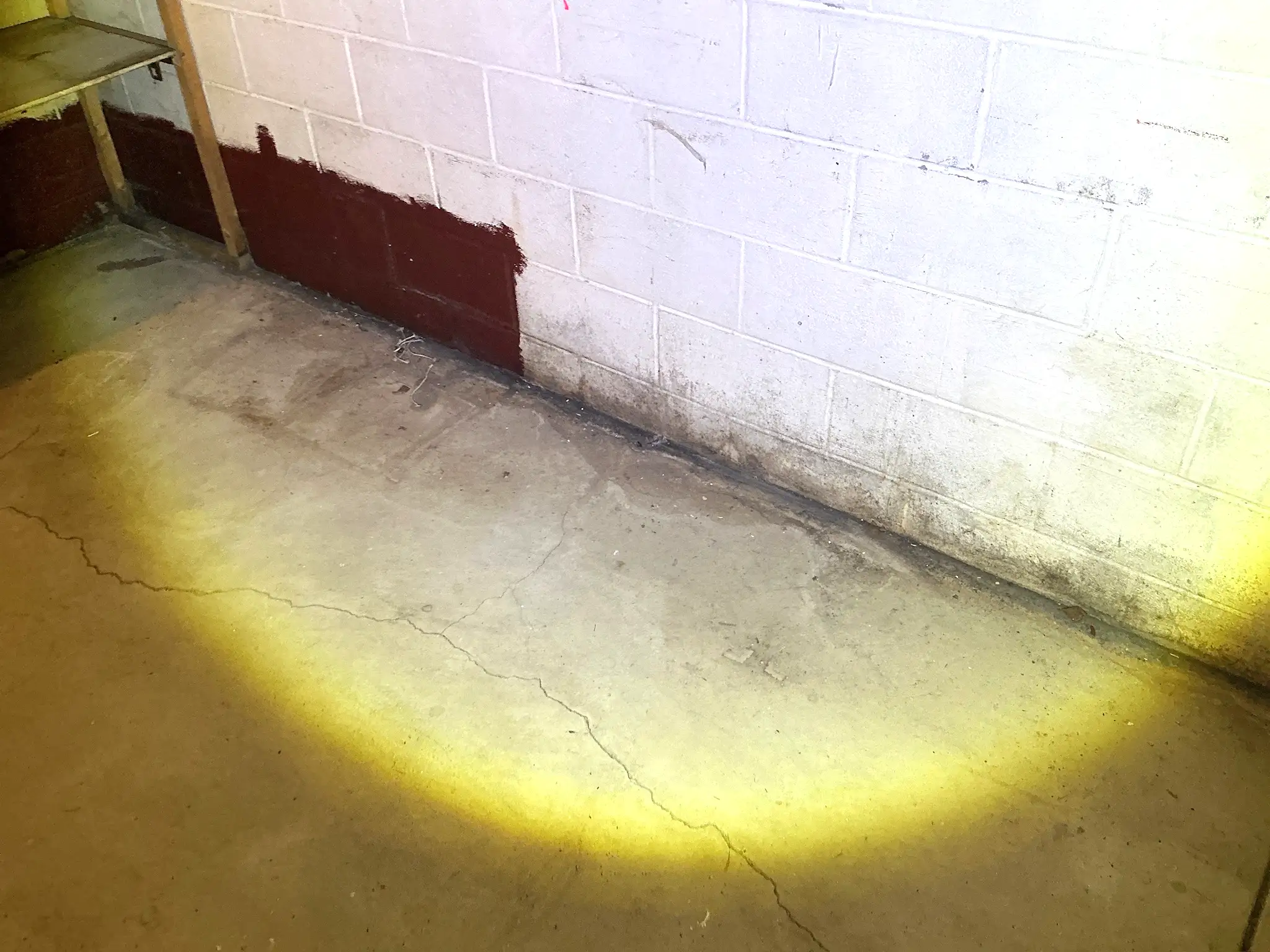 Look at what our mold inspector found in Mineral Ridge..