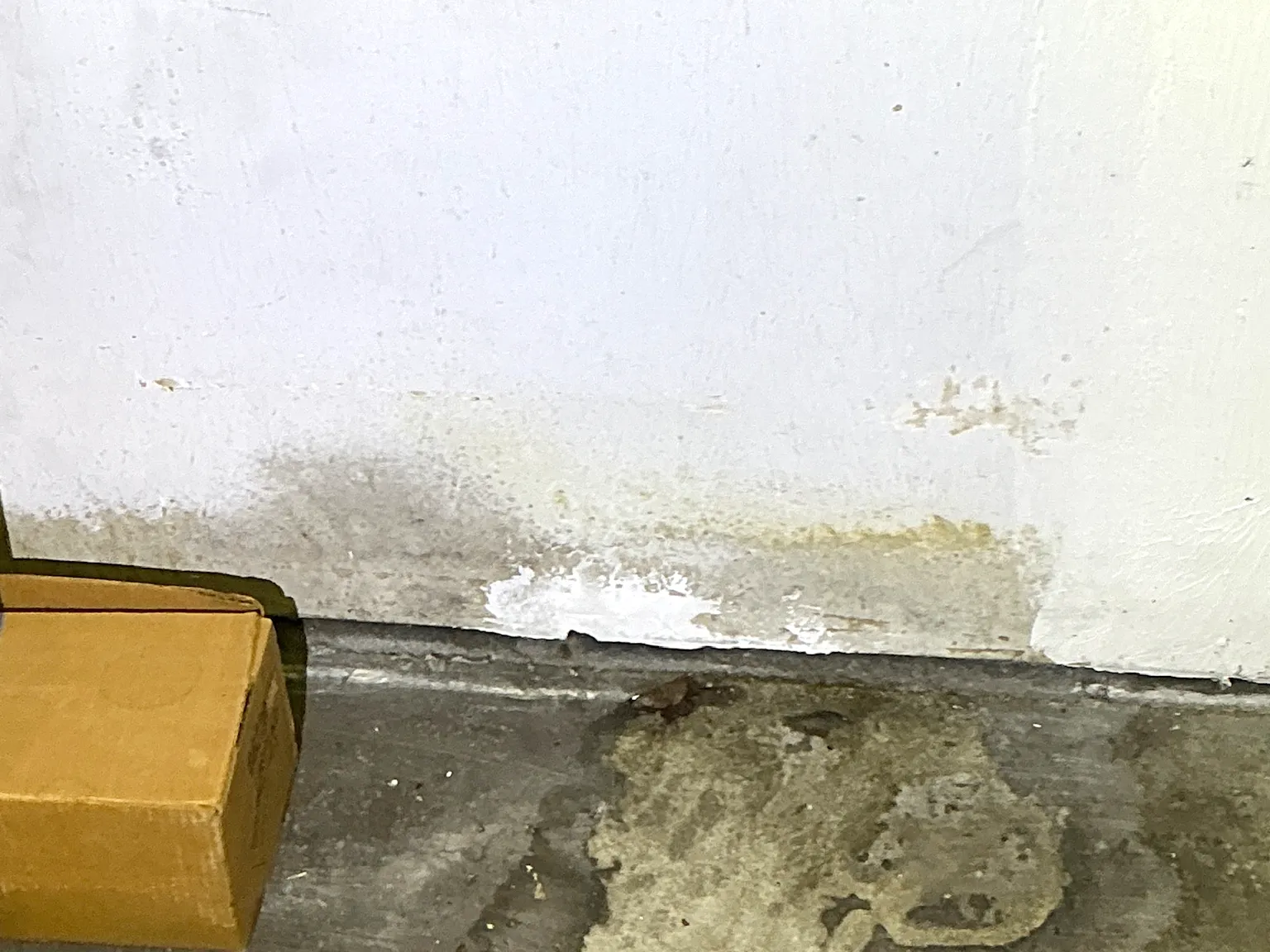 Mold found on a surface during an inspection in Mineral Ridge.