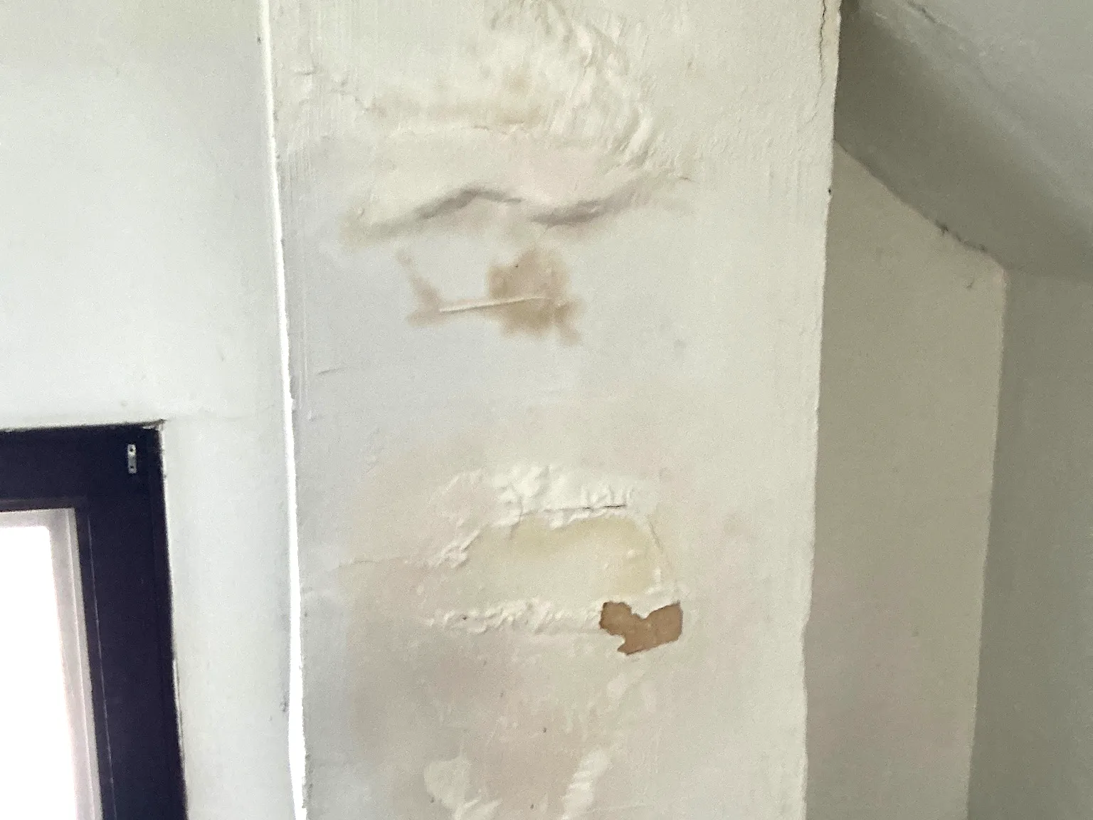 Mold inspection in Mineral Ridge.