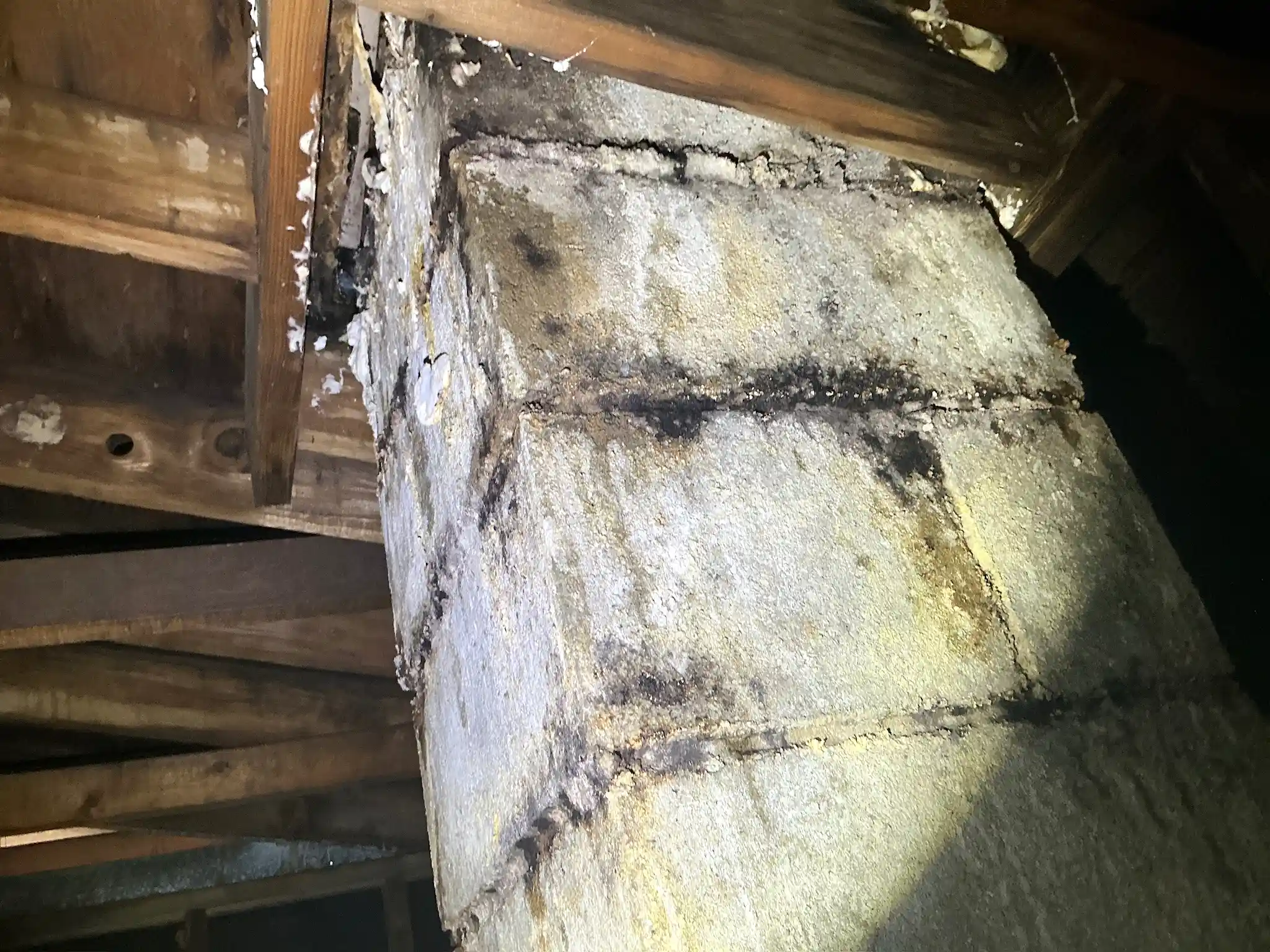 Our mold inspector found this surface mold in Mineral Ridge.