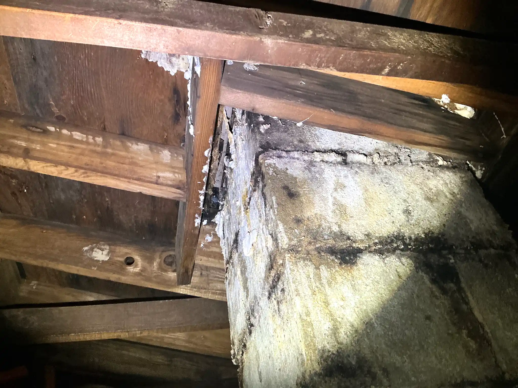 Mold found during a commercial mold inspection in Mineral Ridge.