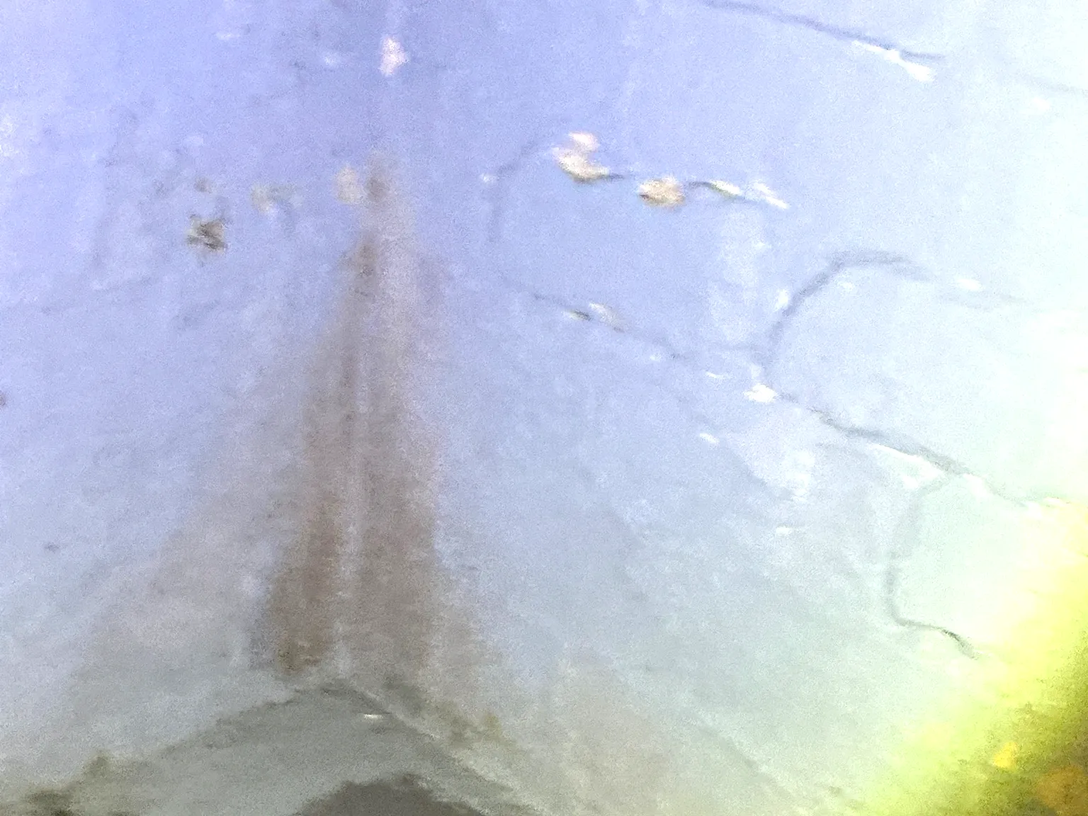 Mold inspection in Minerva.