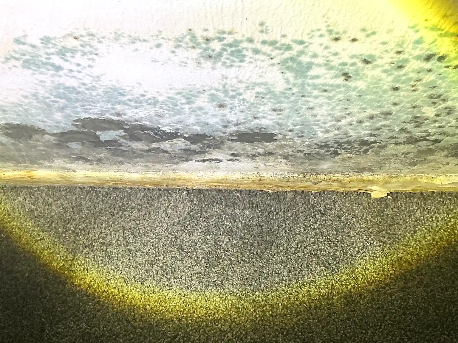 Our mold inspector found this surface mold in Minerva.