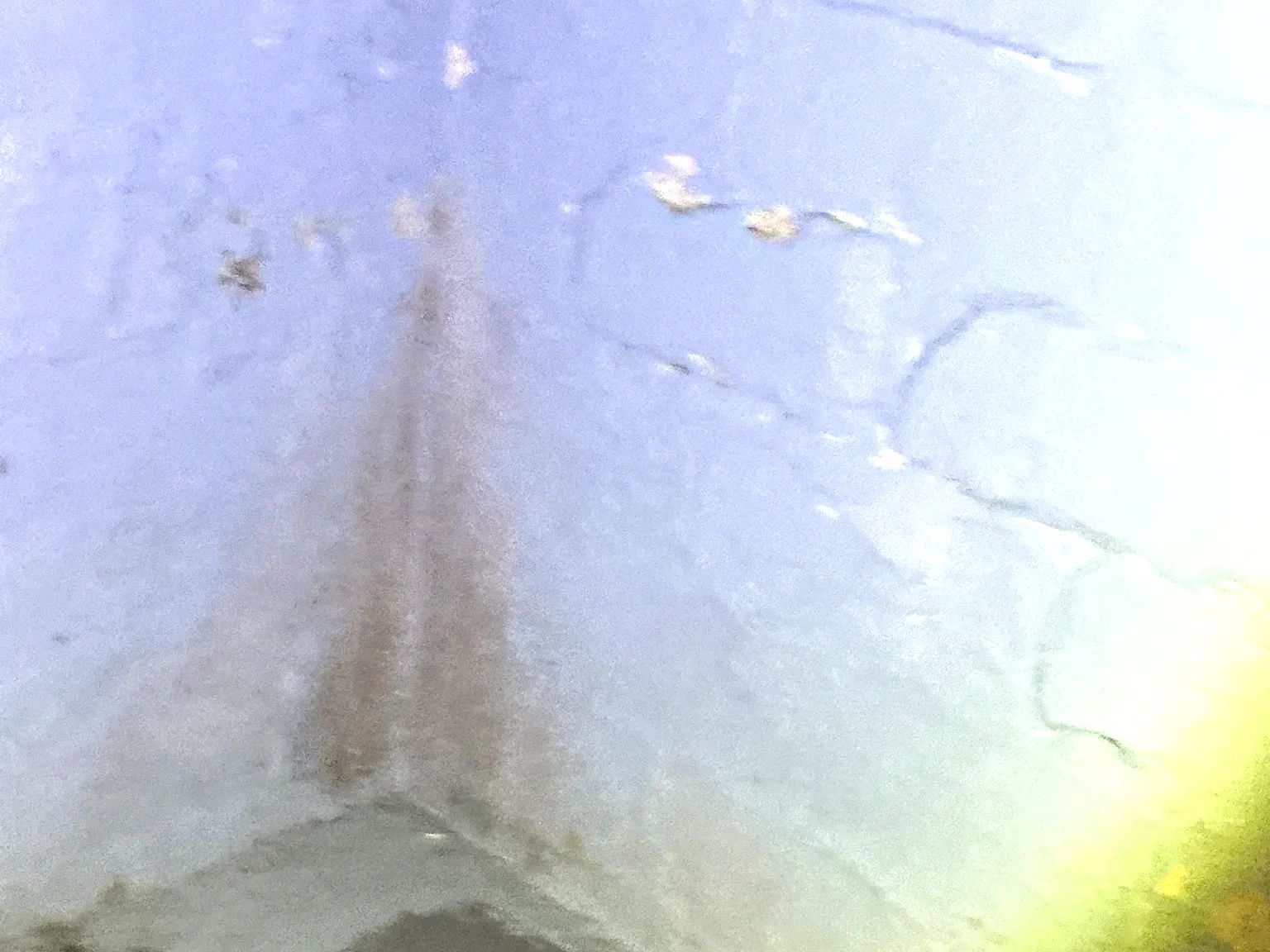 Mold found during a home inspection in Minerva.