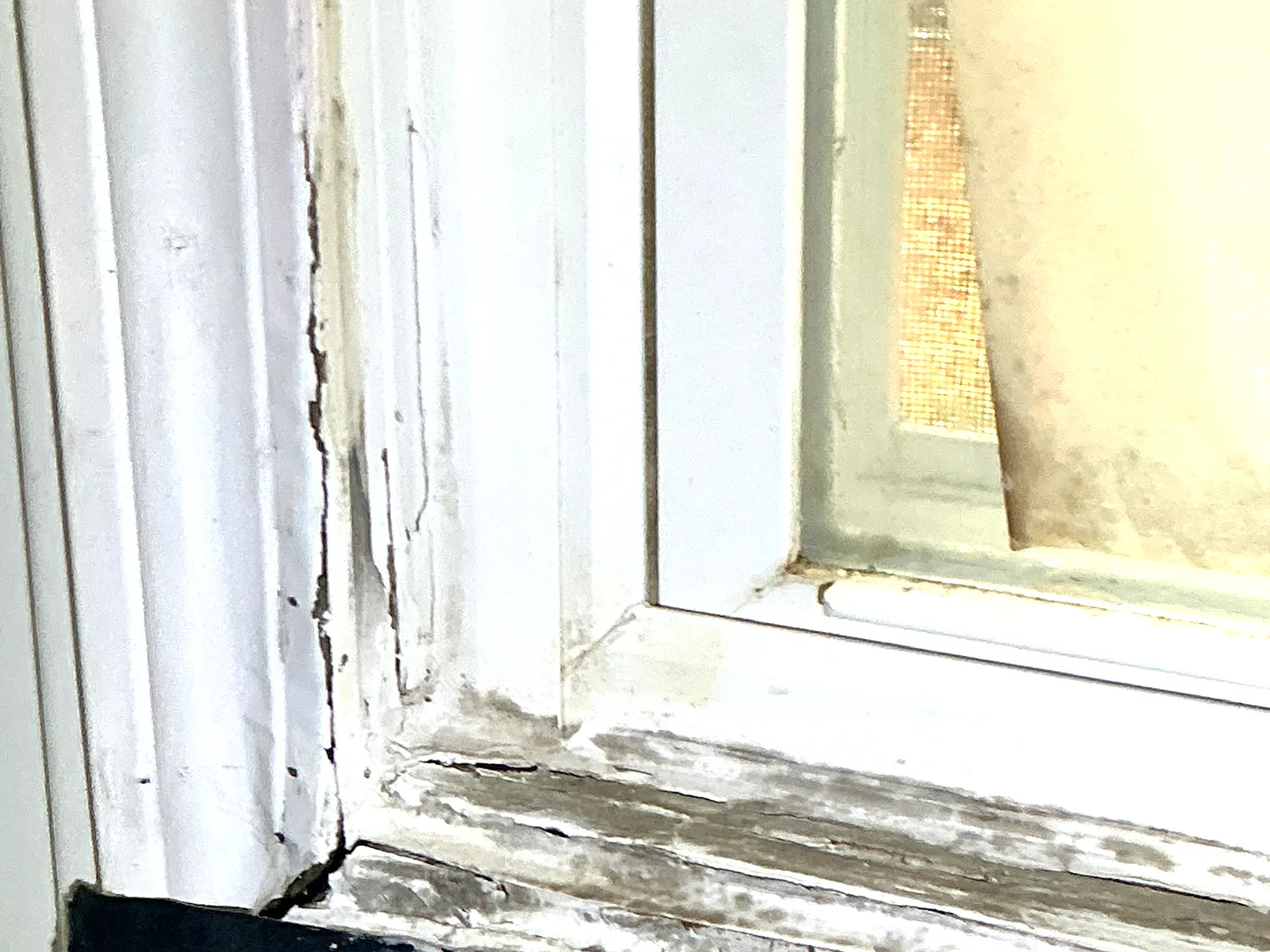 Look at what our mold inspector found in Mogadore..
