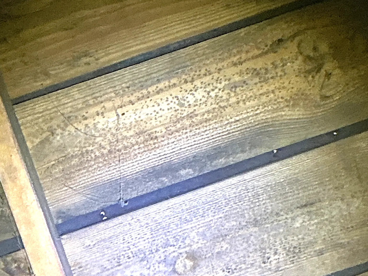 Mold found on a surface during an inspection in Mogadore.