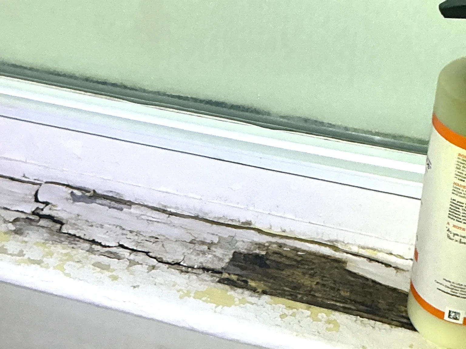 Mold inspection in Mogadore.