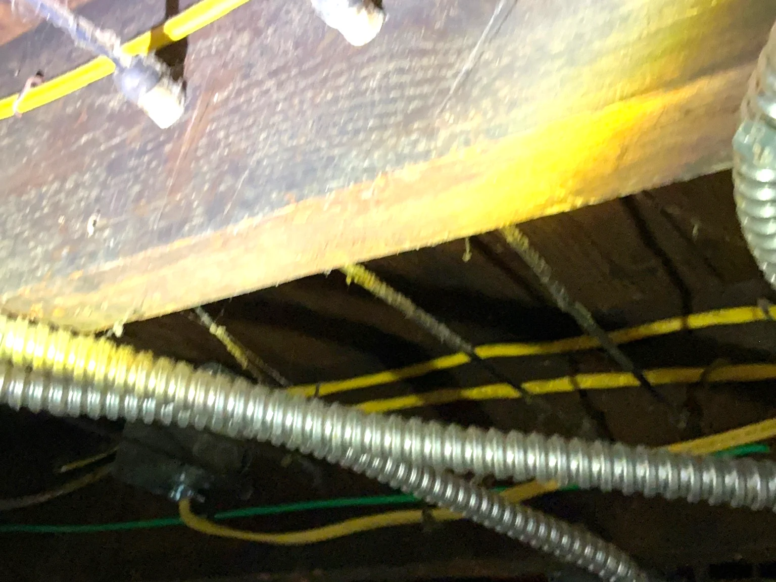 Mold found during a home inspection in Mogadore.