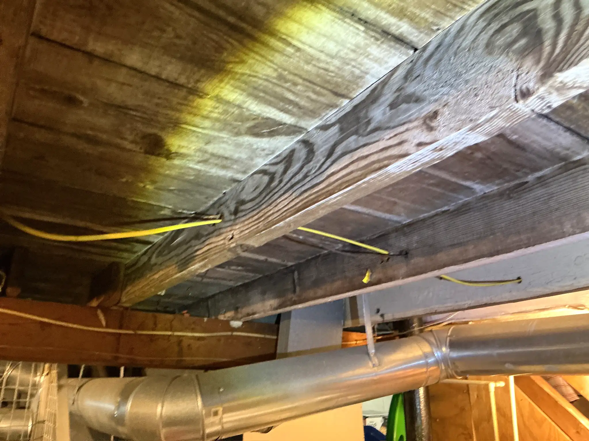 Look at what our mold inspector found in Moreland Hills..