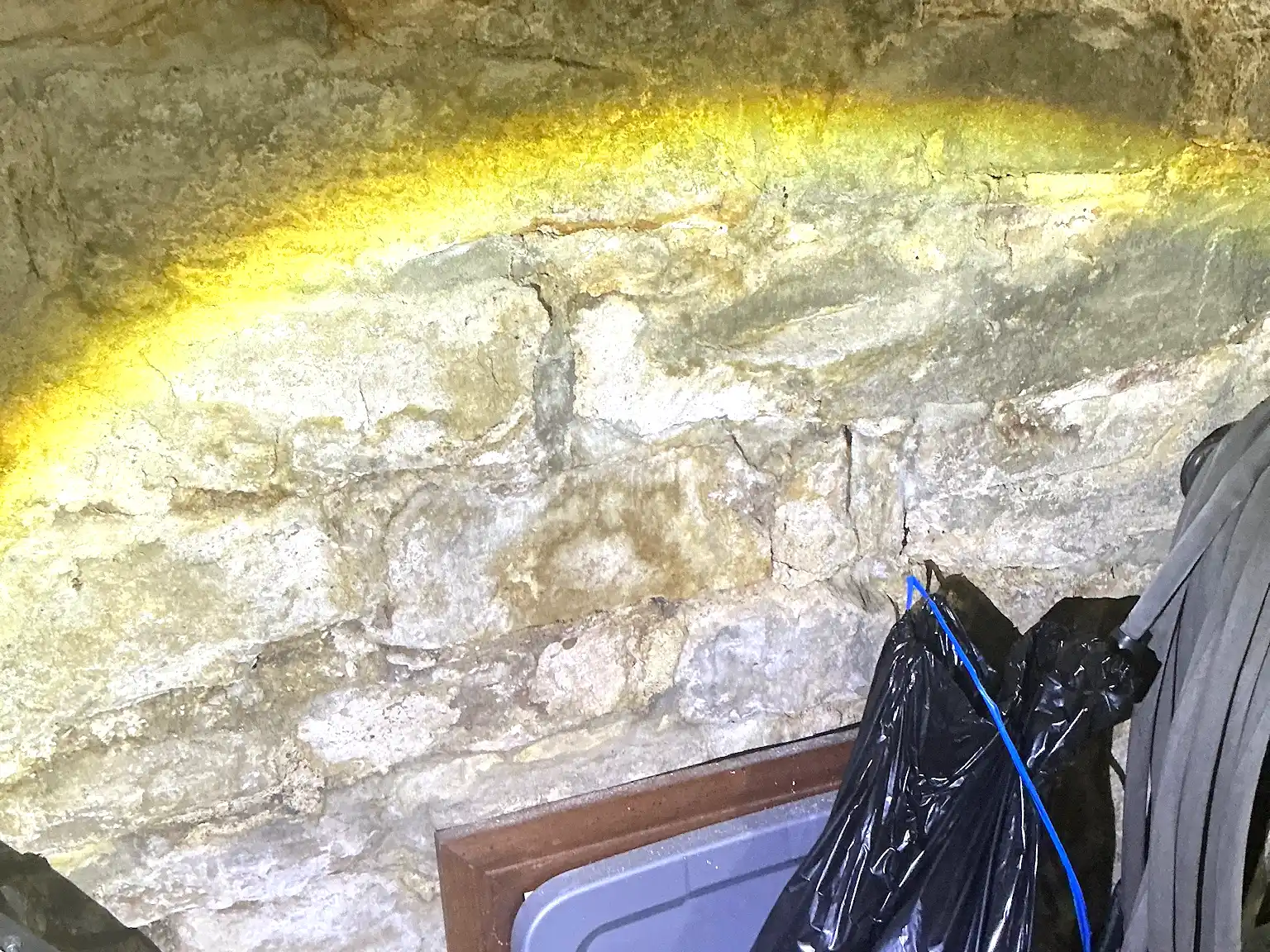 Mold inspection in Moreland Hills.
