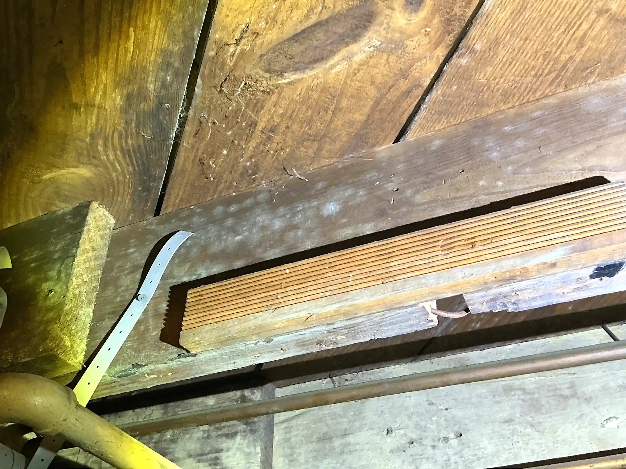 Mold found during a home inspection in Moreland Hills.