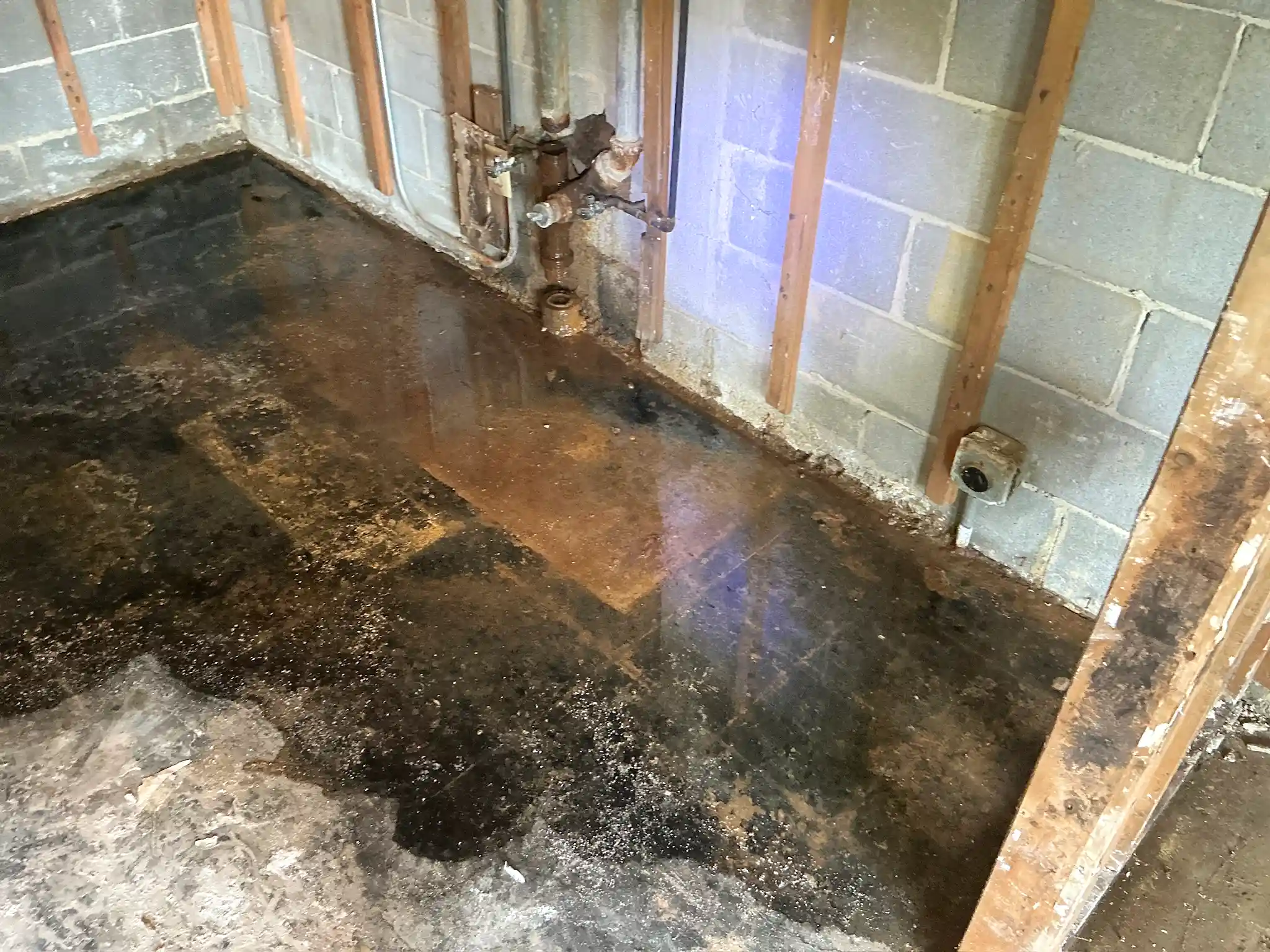 Mold found during a commercial mold inspection in Moreland Hills.