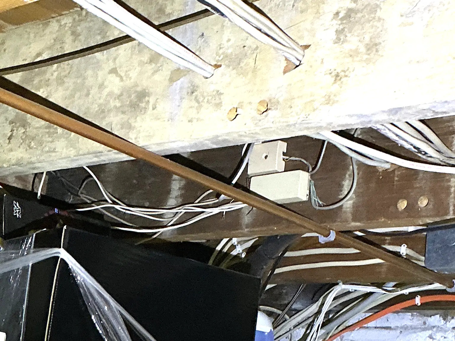 Mold found on a surface during an inspection in Munroe Falls.