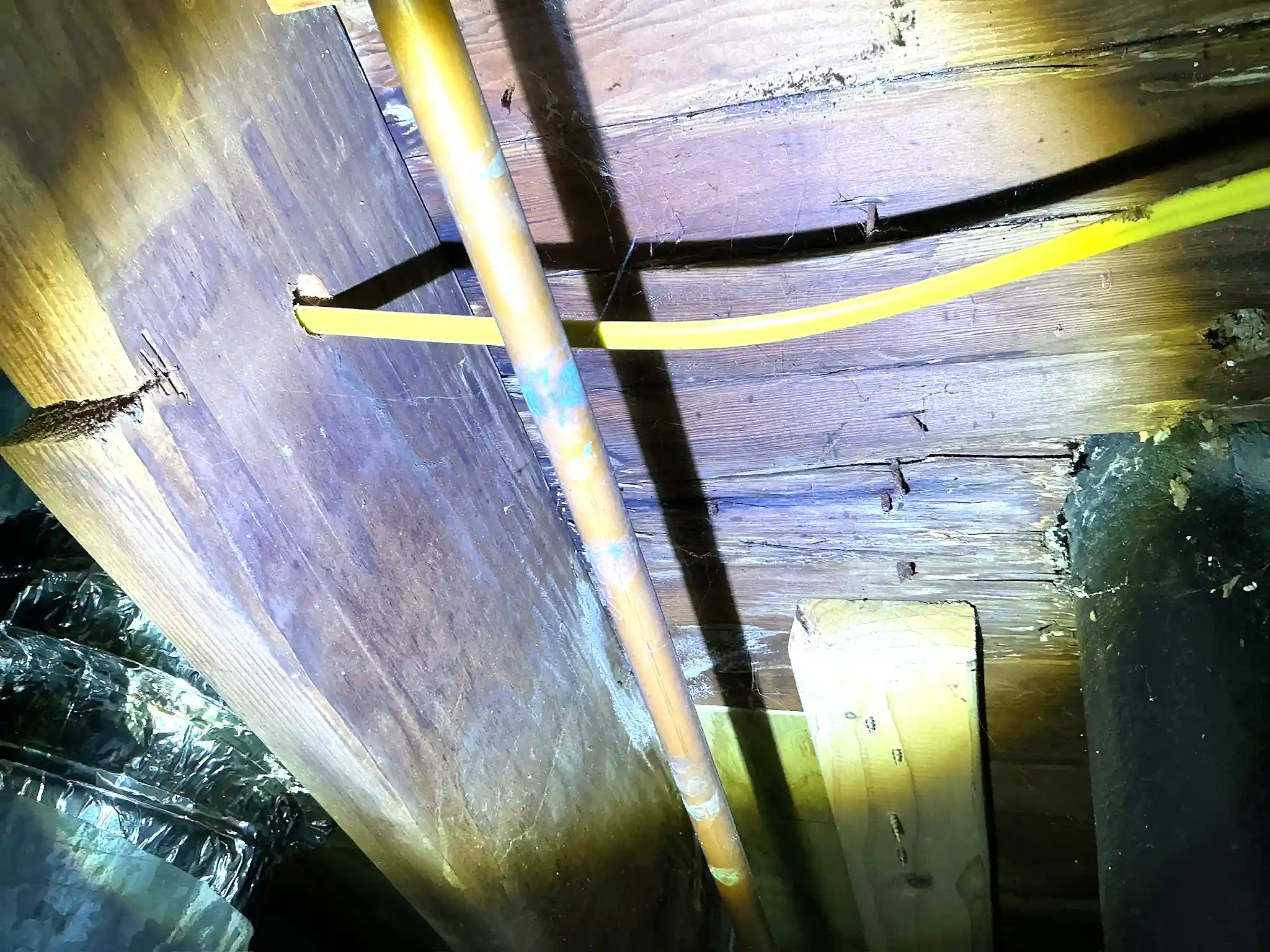 Mold inspection in Munroe Falls.