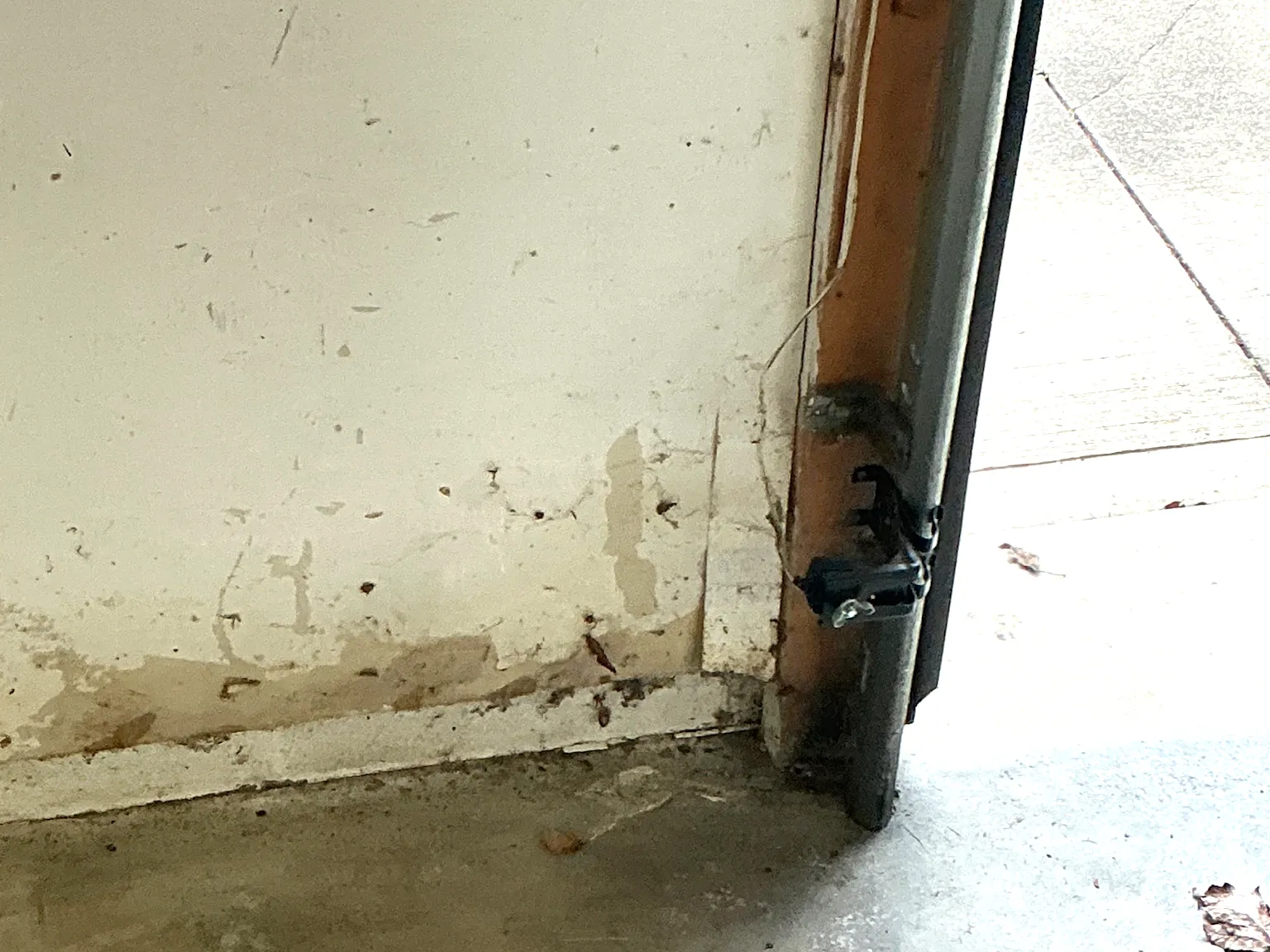 Our mold inspector found this surface mold in Munroe Falls.