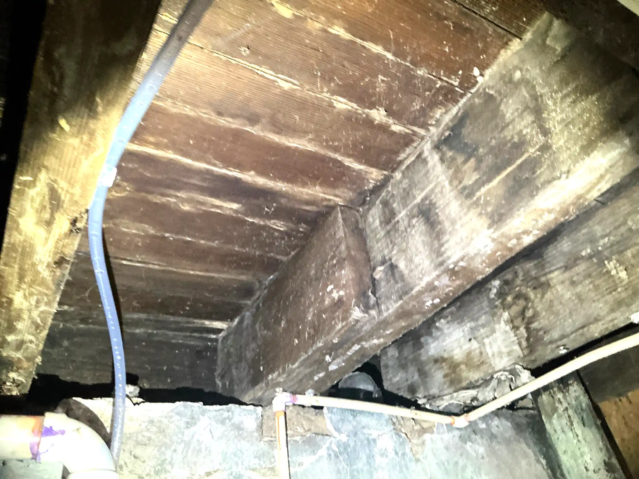 Mold found during a home inspection in Munroe Falls.