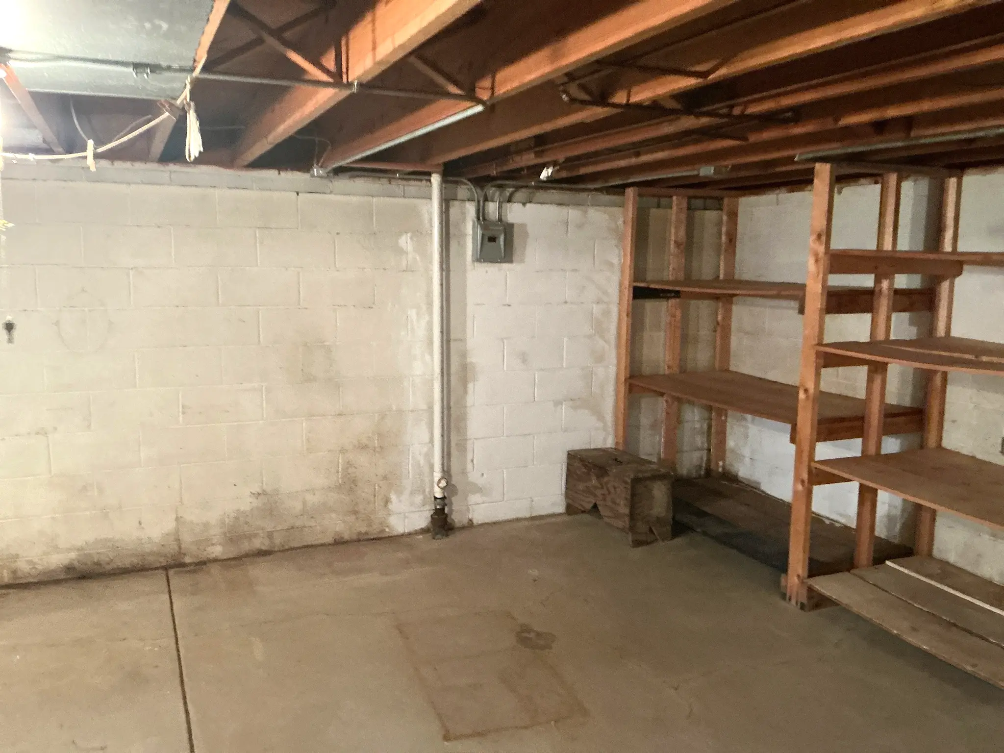Mold inspection in New Franklin.