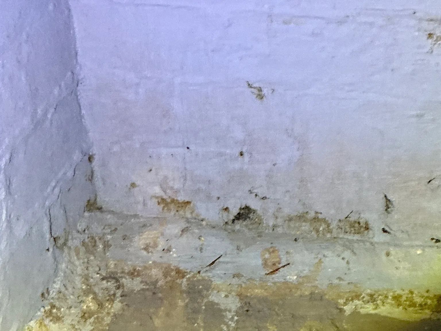 Mold found during a home inspection in New Franklin.