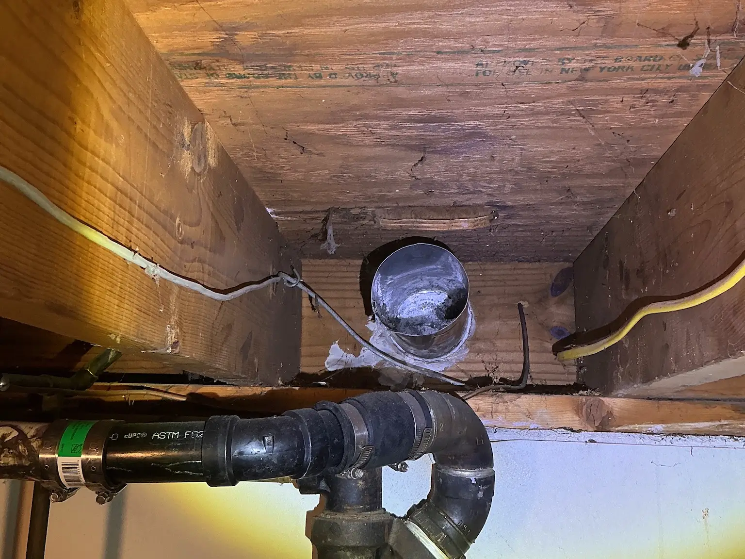 Our mold inspector found this surface mold in Newton Falls.