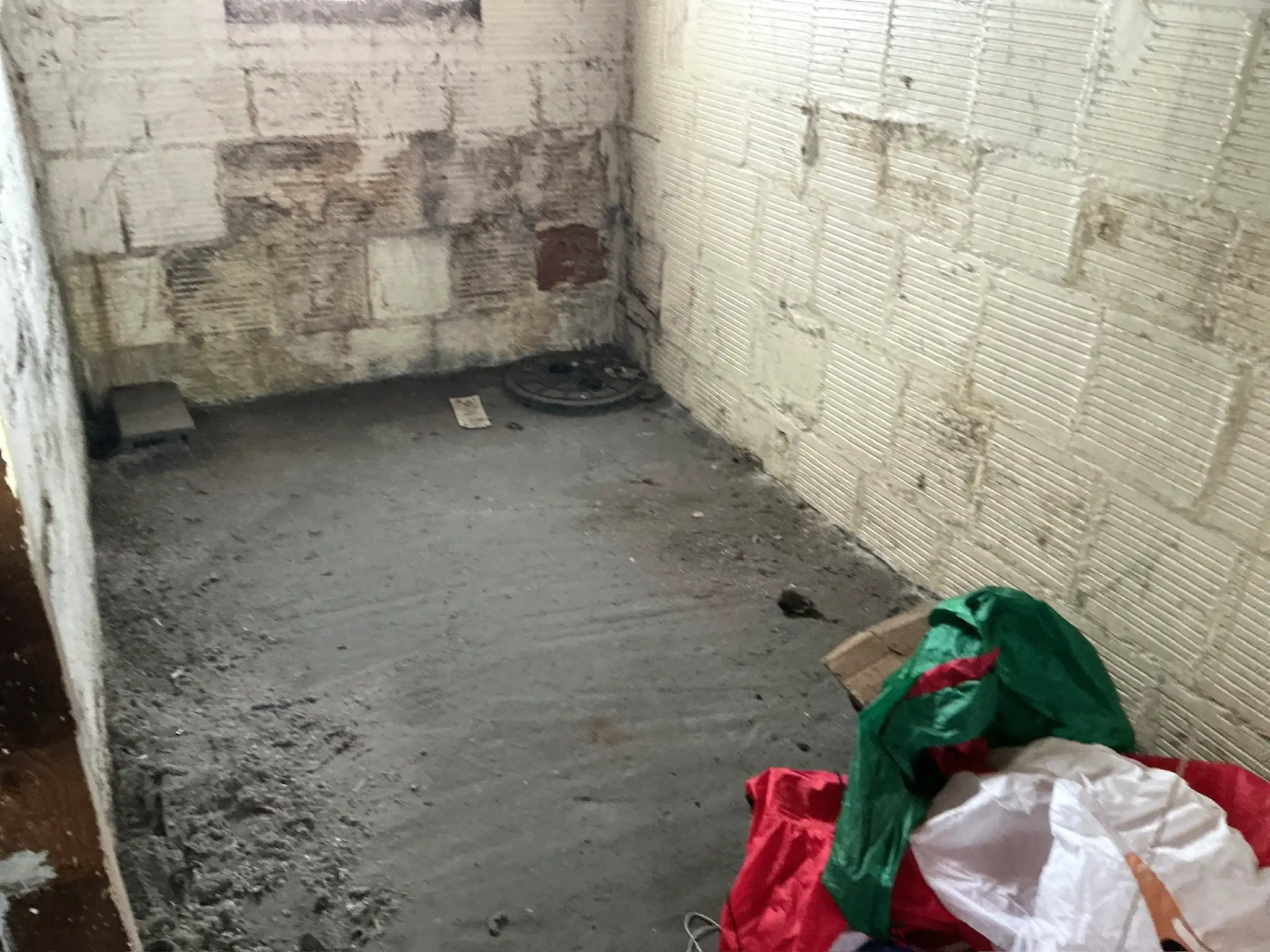 Mold found during a home inspection in Newton Falls.