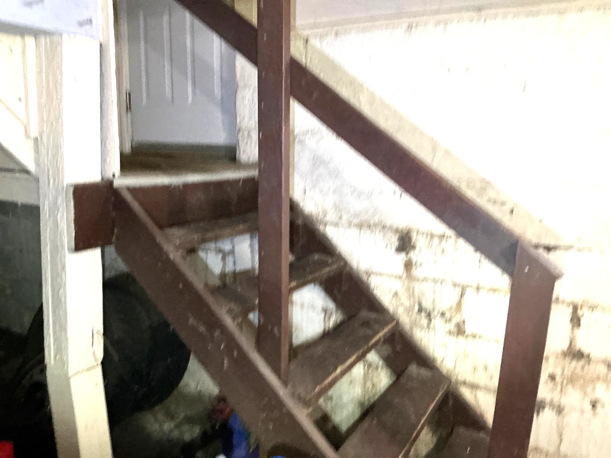 Mold found during a commercial mold inspection in Newton Falls.