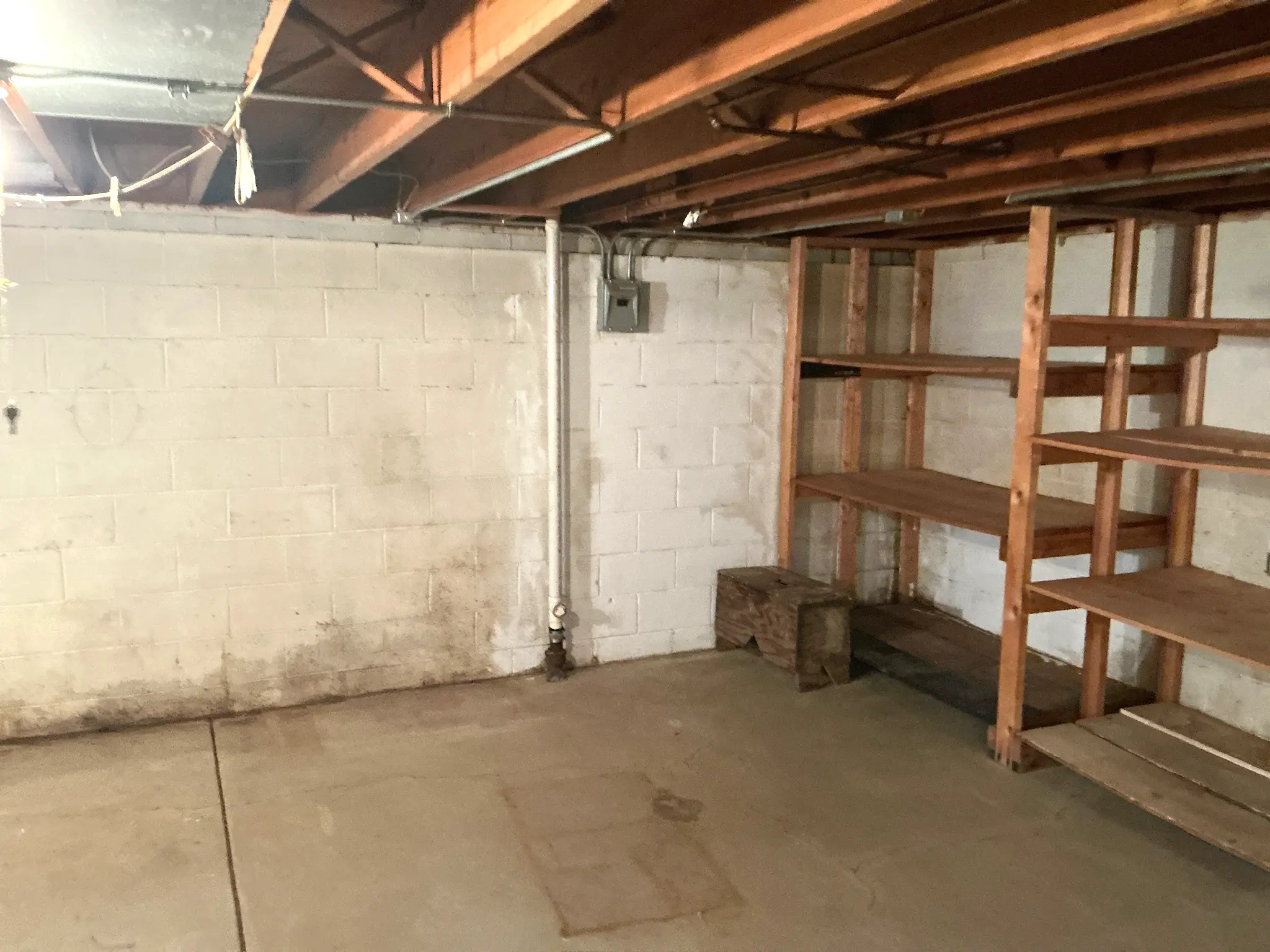 Look at what our mold inspector found in Niles..