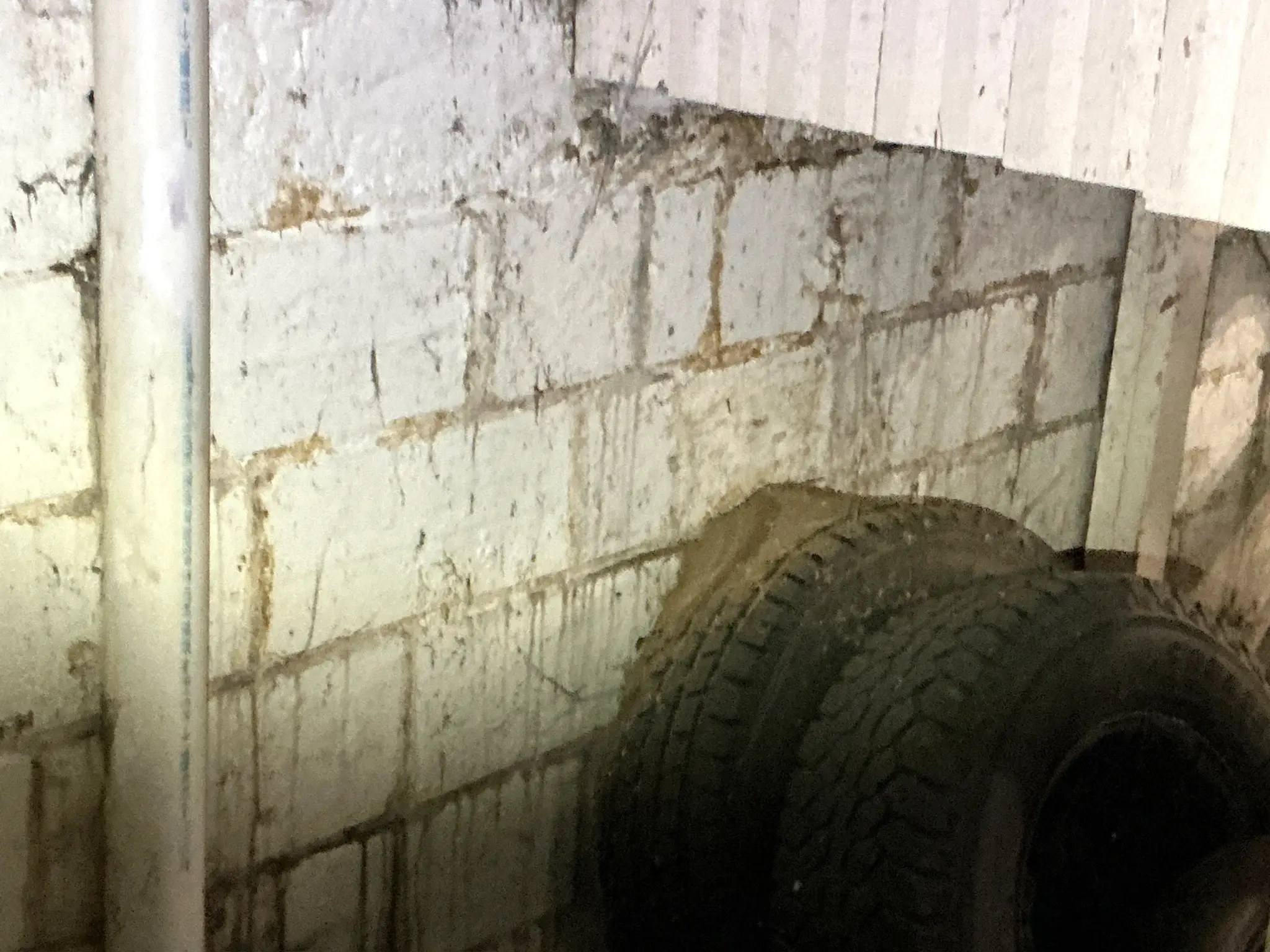 Mold inspection in Niles.