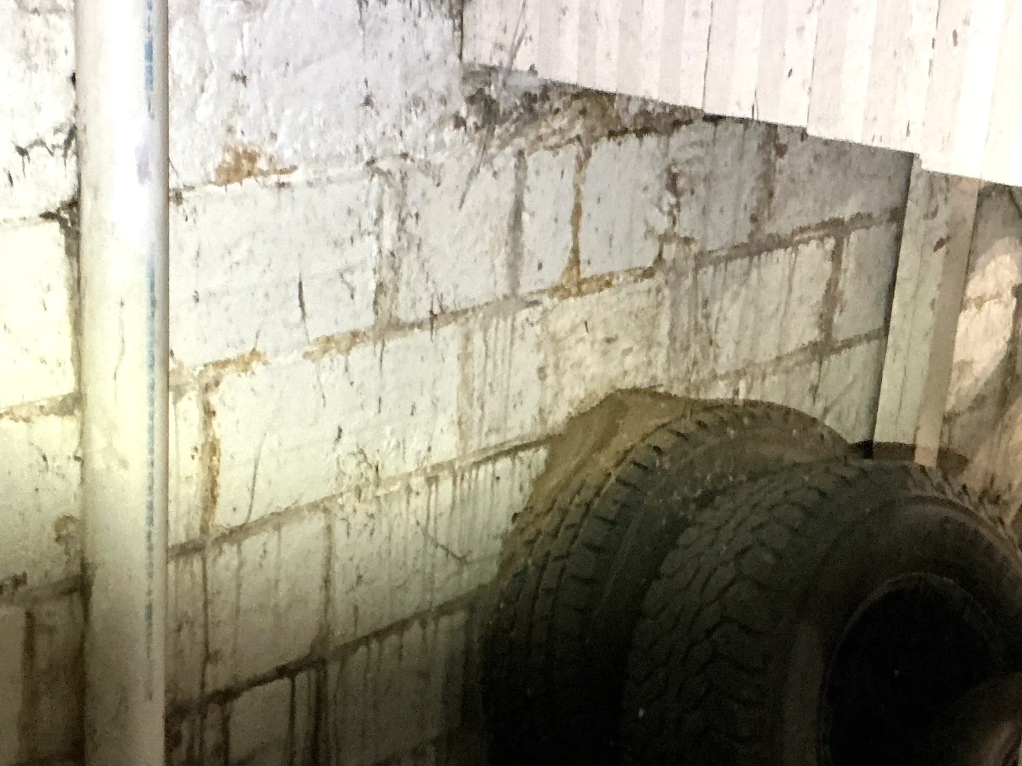 Mold found during a home inspection in Niles.