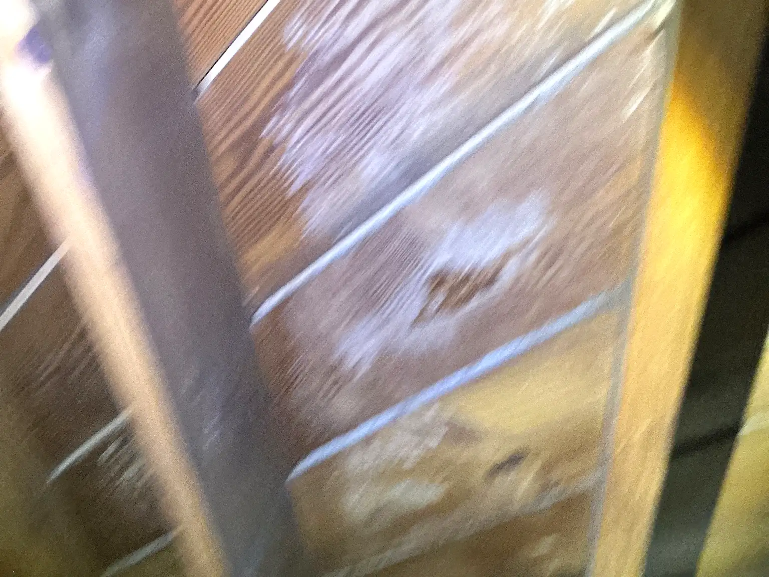Mold inspection in North Canton.
