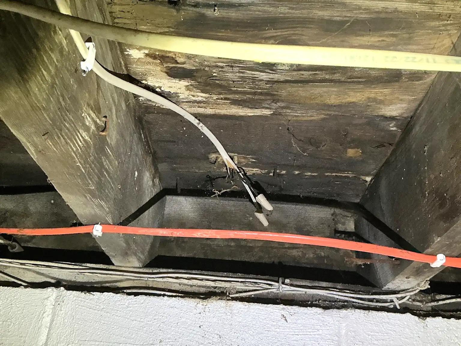 Mold found during a home inspection in North Canton.