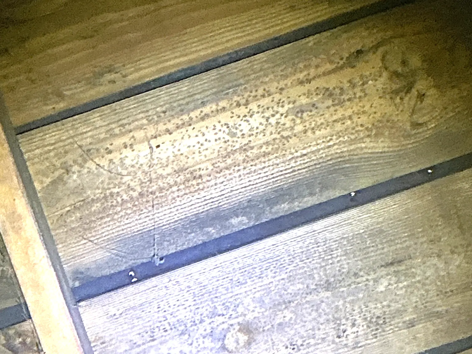 Mold found during a commercial mold inspection in North Canton.