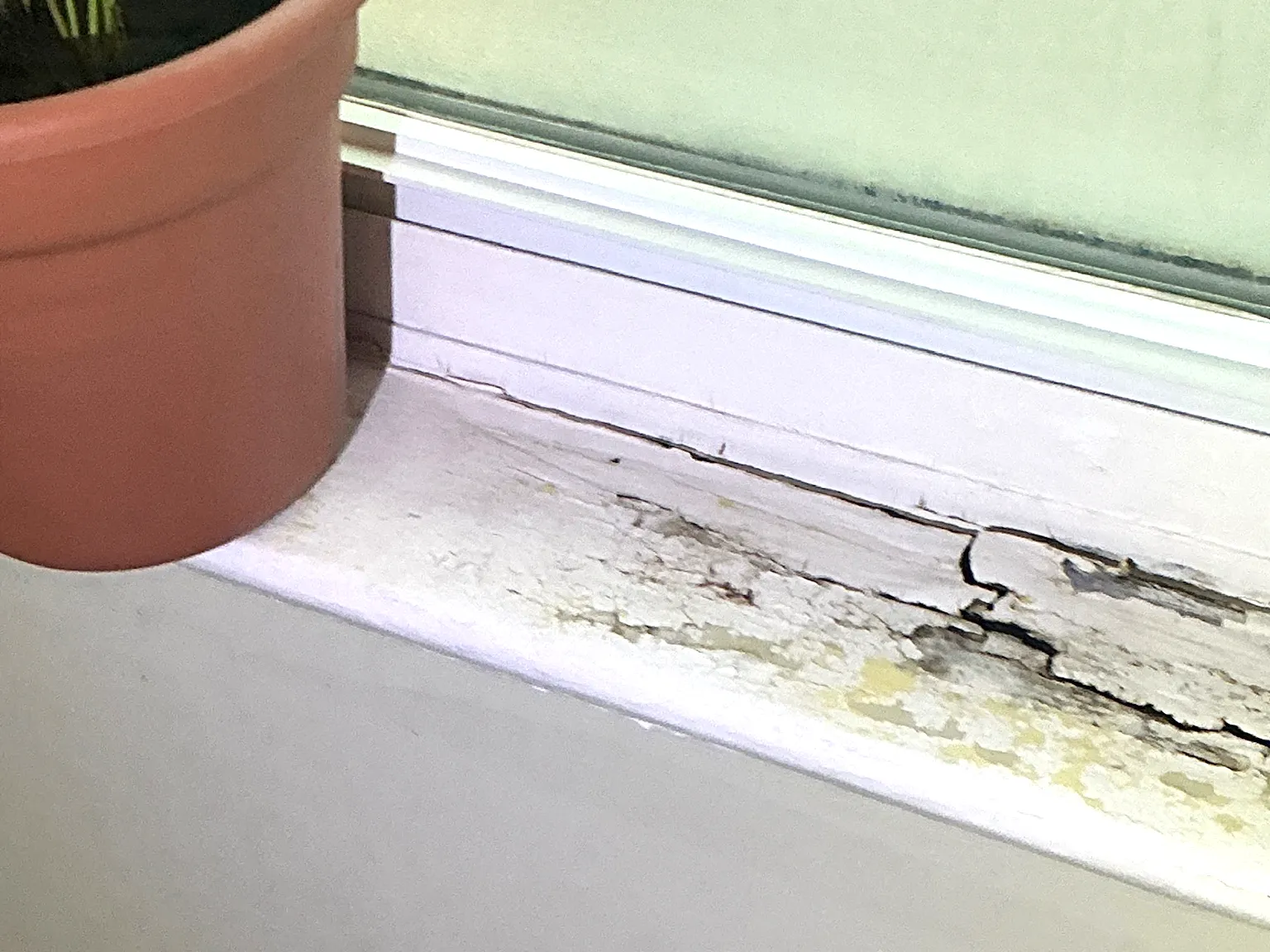 Look at what our mold inspector found in North Madison..